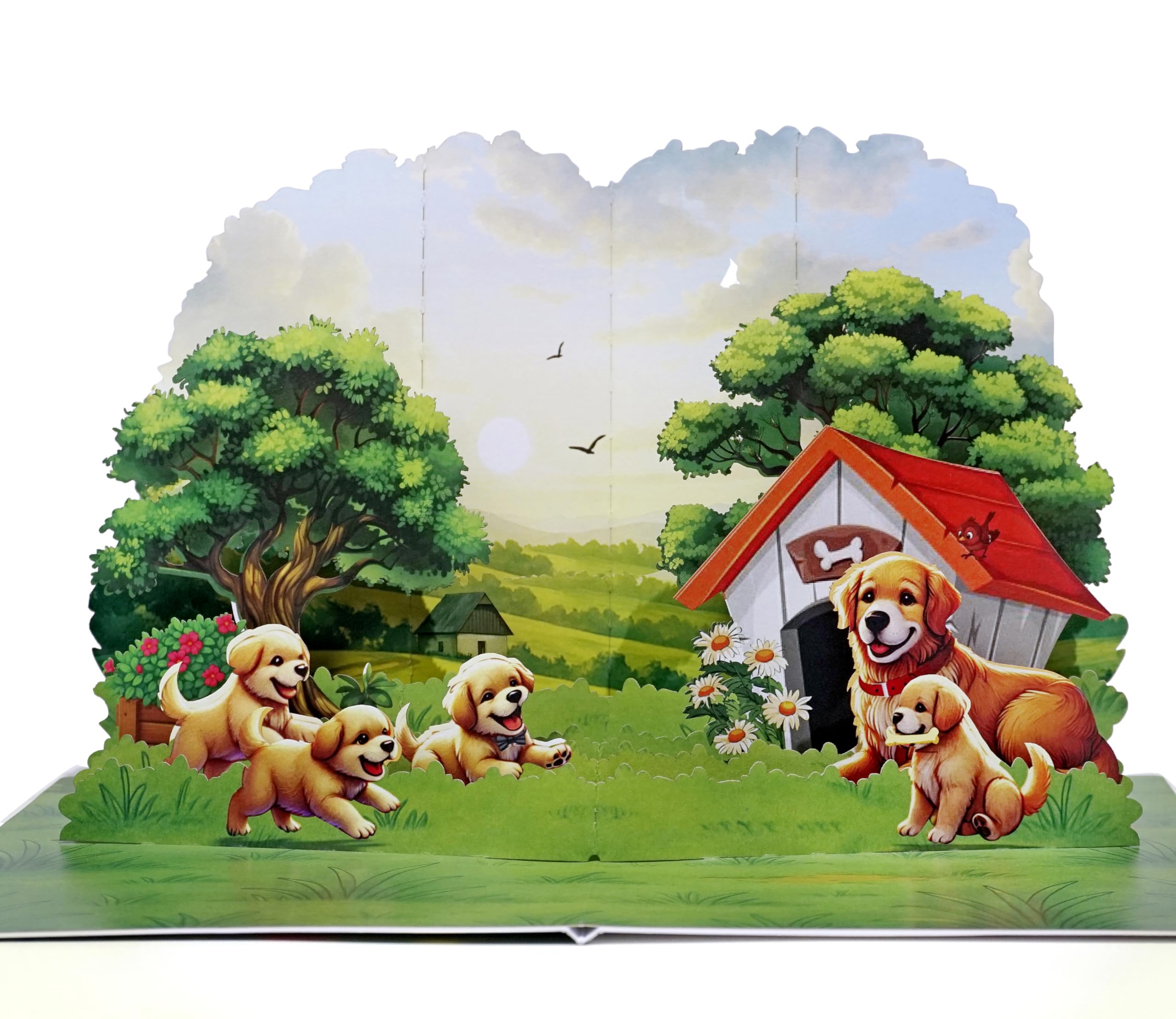 CUTPOPUP Birthday Card Pop Up, 3D Birthday Greeting, Golden Family, All Occasions