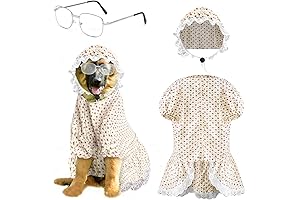 Senior Citizen Costume for Dogs
