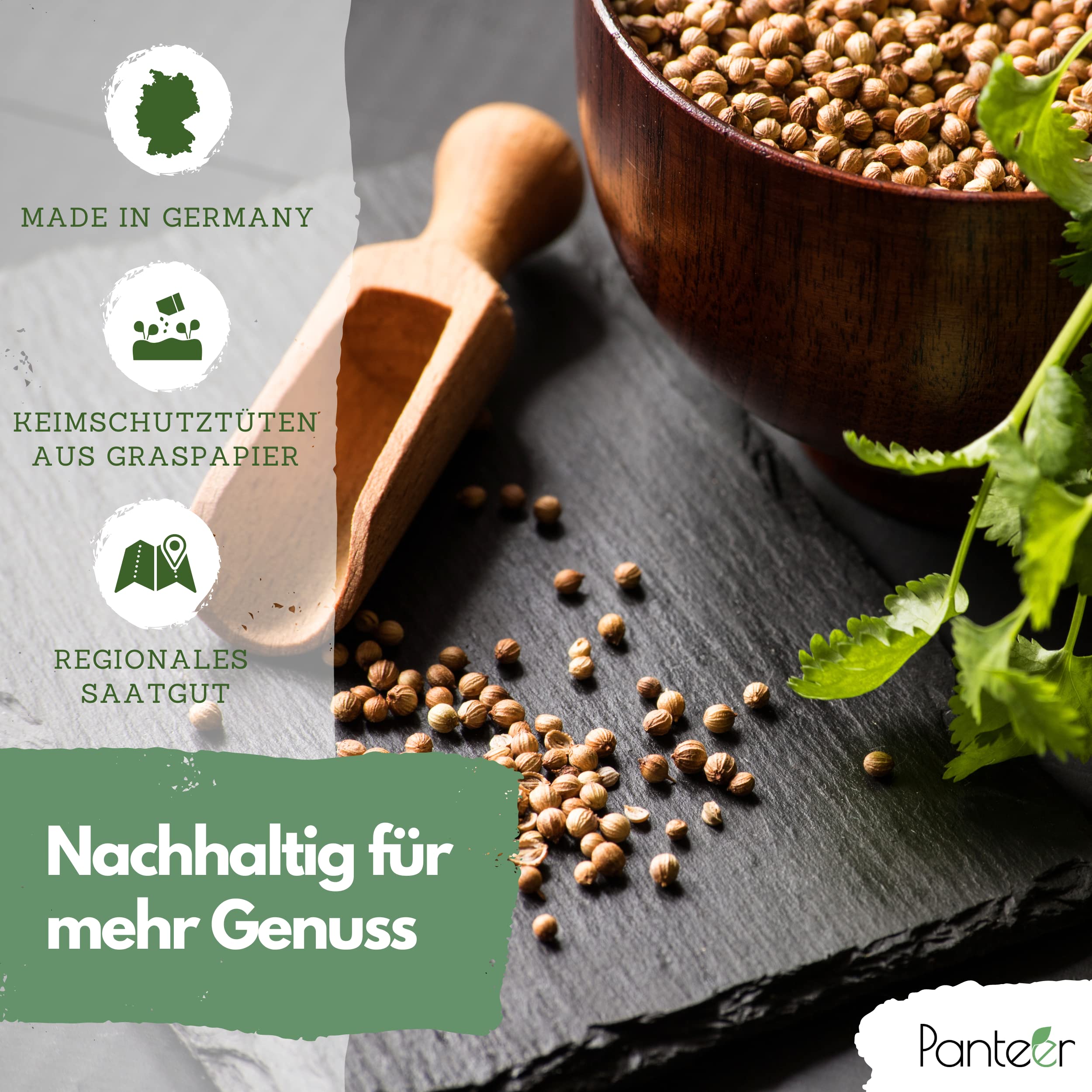 Lot De 10 Sachets Graines Aromatiques - Basilic, Persil, Thym, Menthe, Ciboulette... Pour Potager
