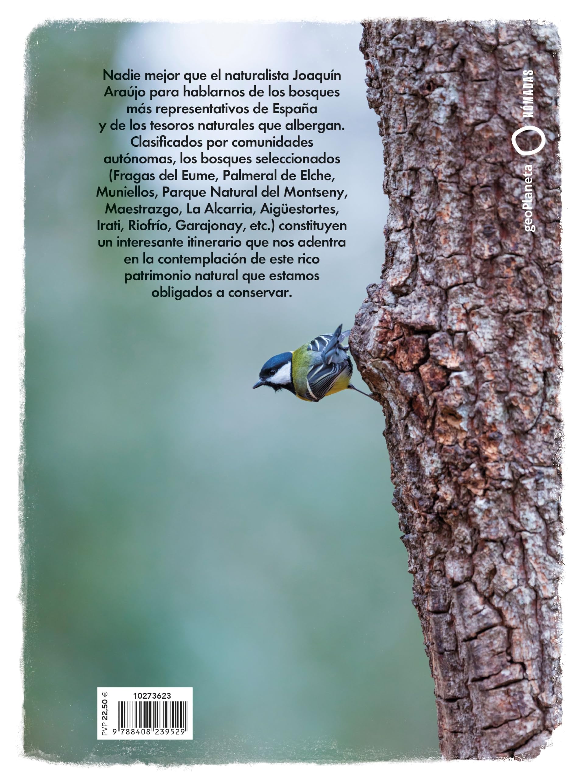 Bosques imprescindibles de España (Nómadas)