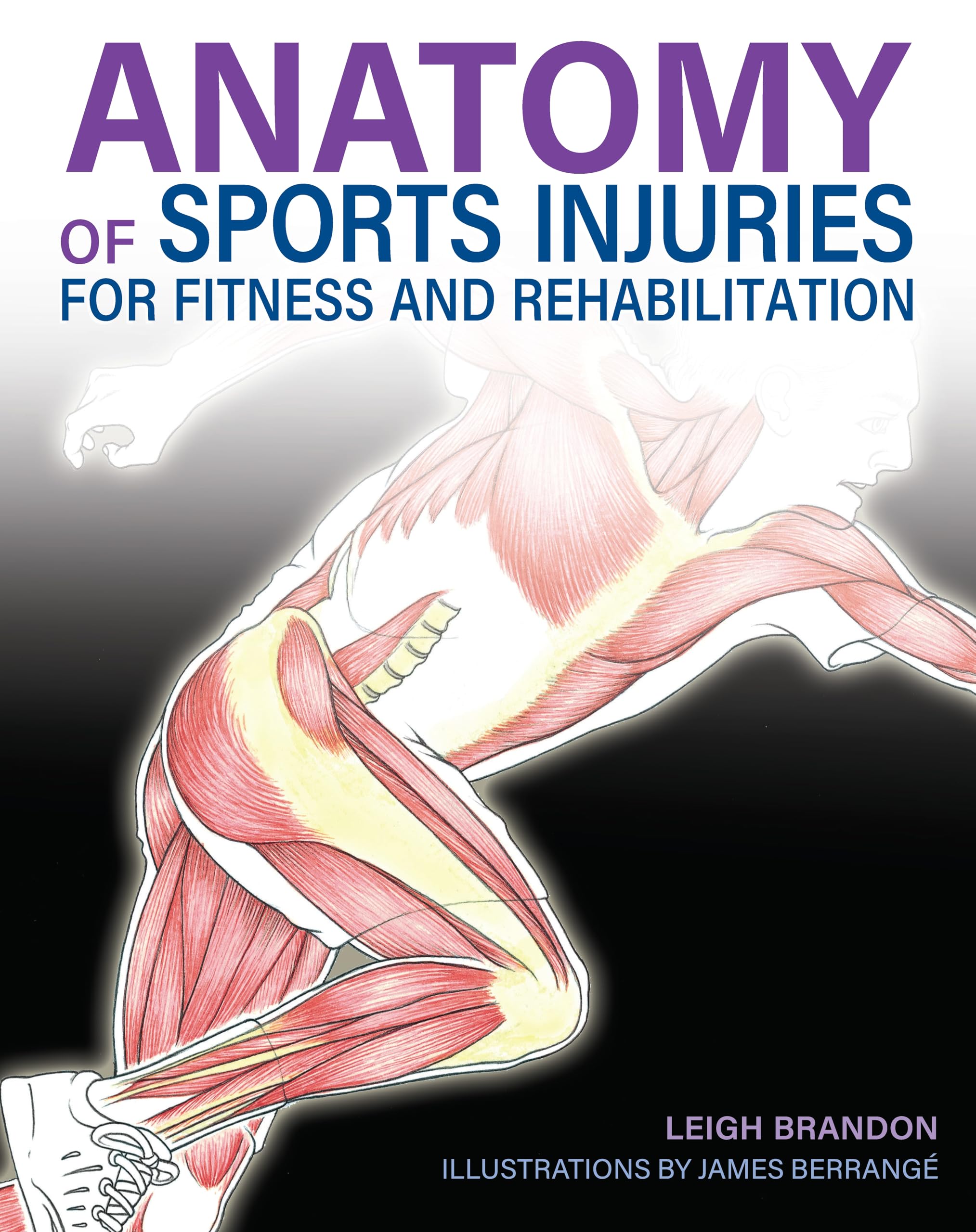Anatomy of Sports Injuries (IMM Lifestyle Books) Identify, Treat, and Prevent Common Athletic Injuries with Step-by-Step Exercises and Full-Color Anatomical Illustrations