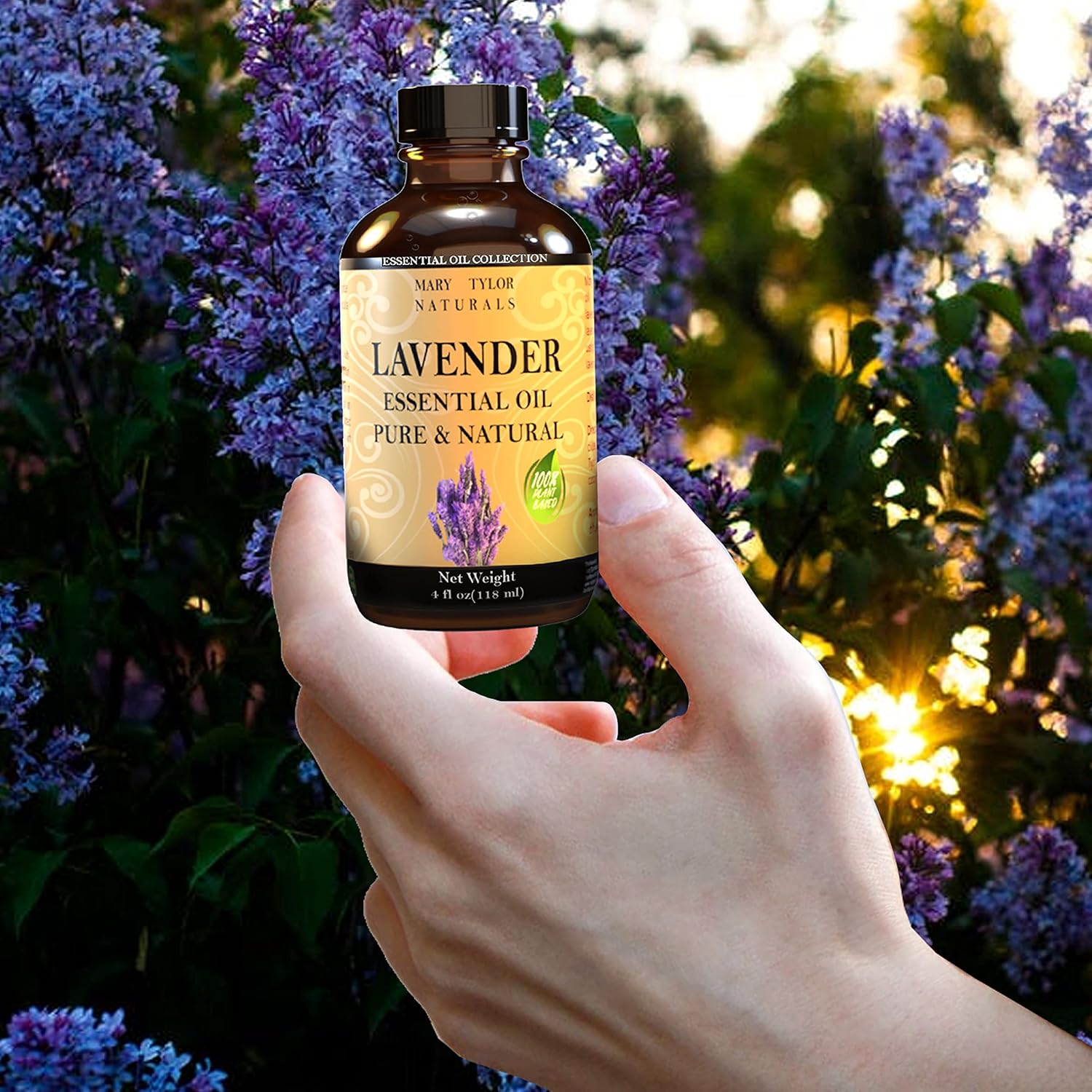 Oil Scent Variation (Musk)