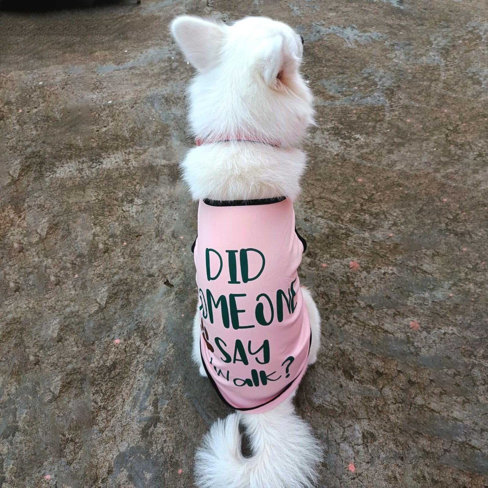 Lulala Dog T-Shirts Cute Printed Dog Clothes Soft Cotton Pet T Shirt Breathable Puppy Sweatshirt Apparel Outfit for Pet Dog and Cat (Pink, 12 INCH) (B0CFYDQRDW) Amazon Price History, Amazon Price Tracker