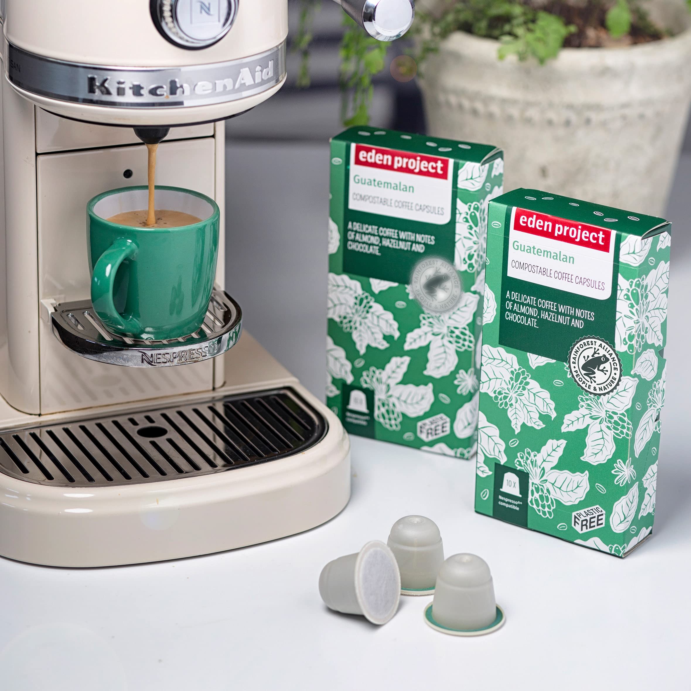 THE EDEN PROJECT Cápsulas de café compatibles con Nespresso, sin plástico, compostables, biodegradables, neutrales, 60 cápsulas, 6 paquetes de 10 unidades
