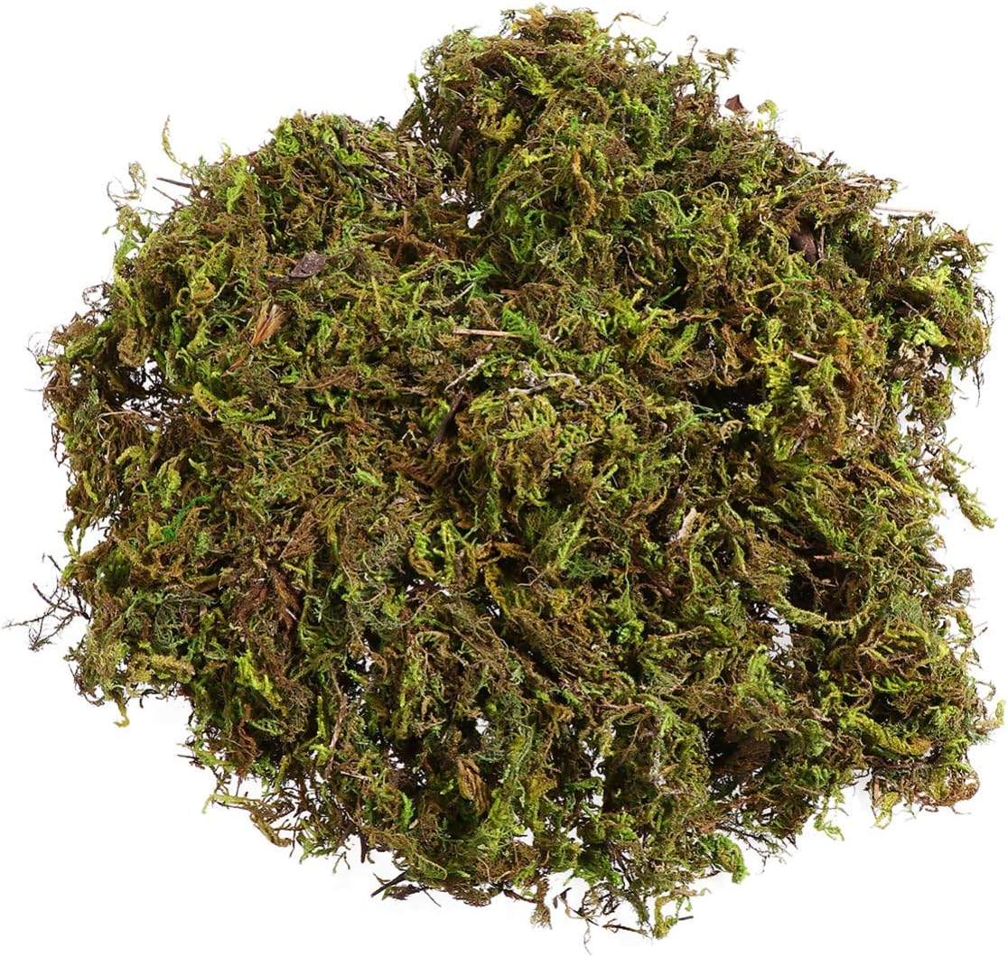IMIKEYA Artificial Moss : 60g Artificial Green Fake Moss for Crafts Decorative Artificial Faux Mosses for Plant Craft Flower Garden Wedding Christmas Table Centerpieces Decor