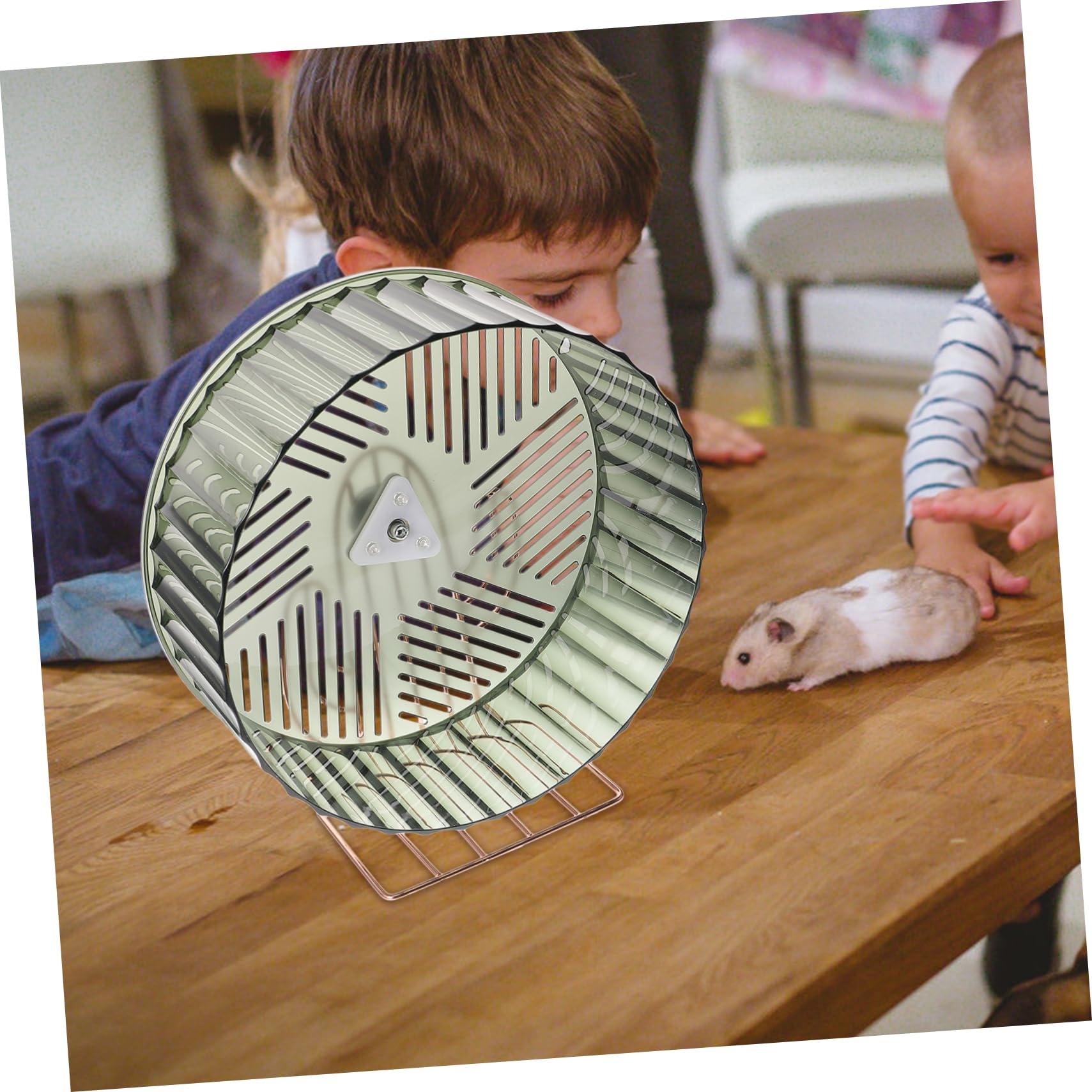 Ruota Per Criceti Da 12 Pollici - Con Supporto In Metallo, Per Piccoli Animali Domestici - Foto 4