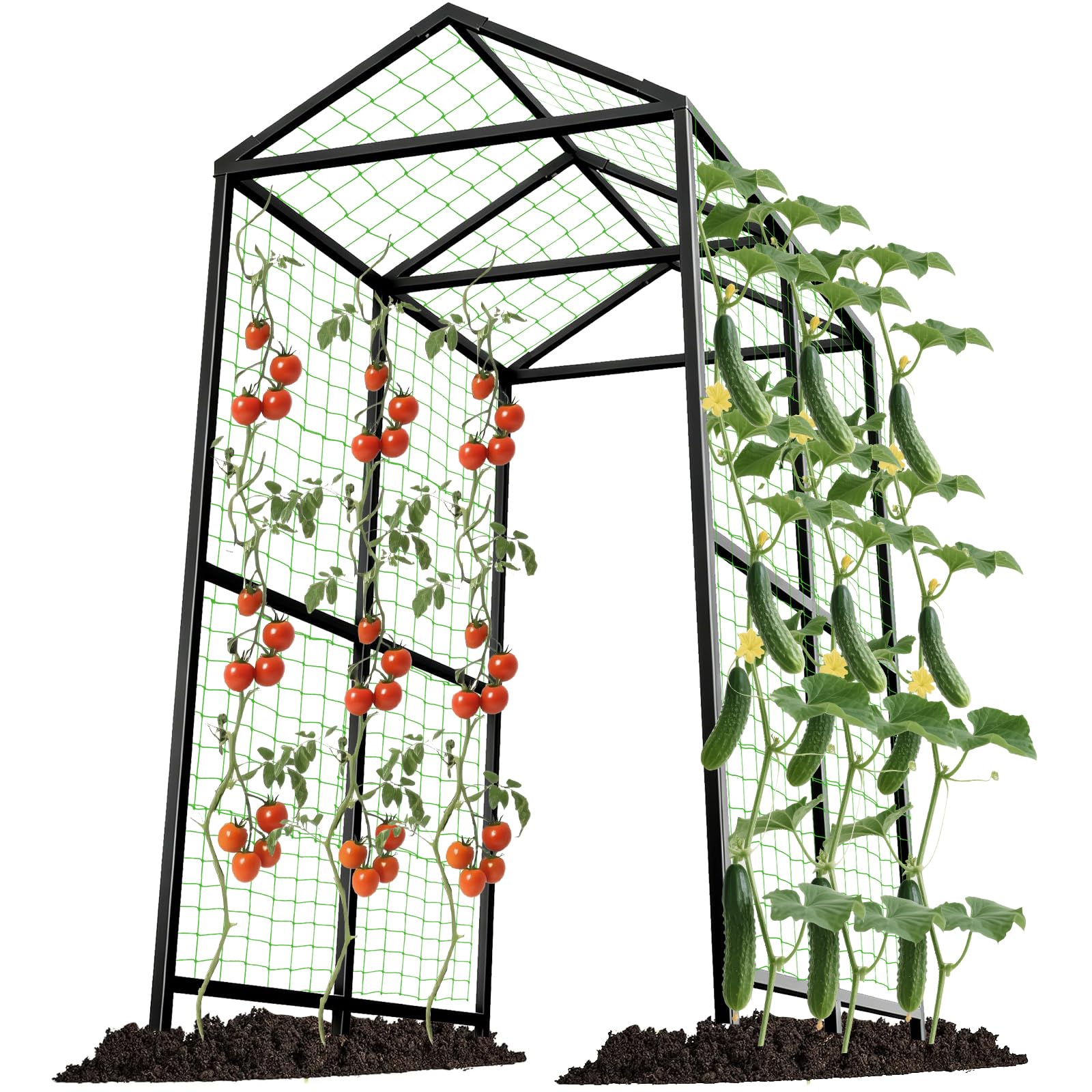AIMUCT 7.1FT Garden Arch