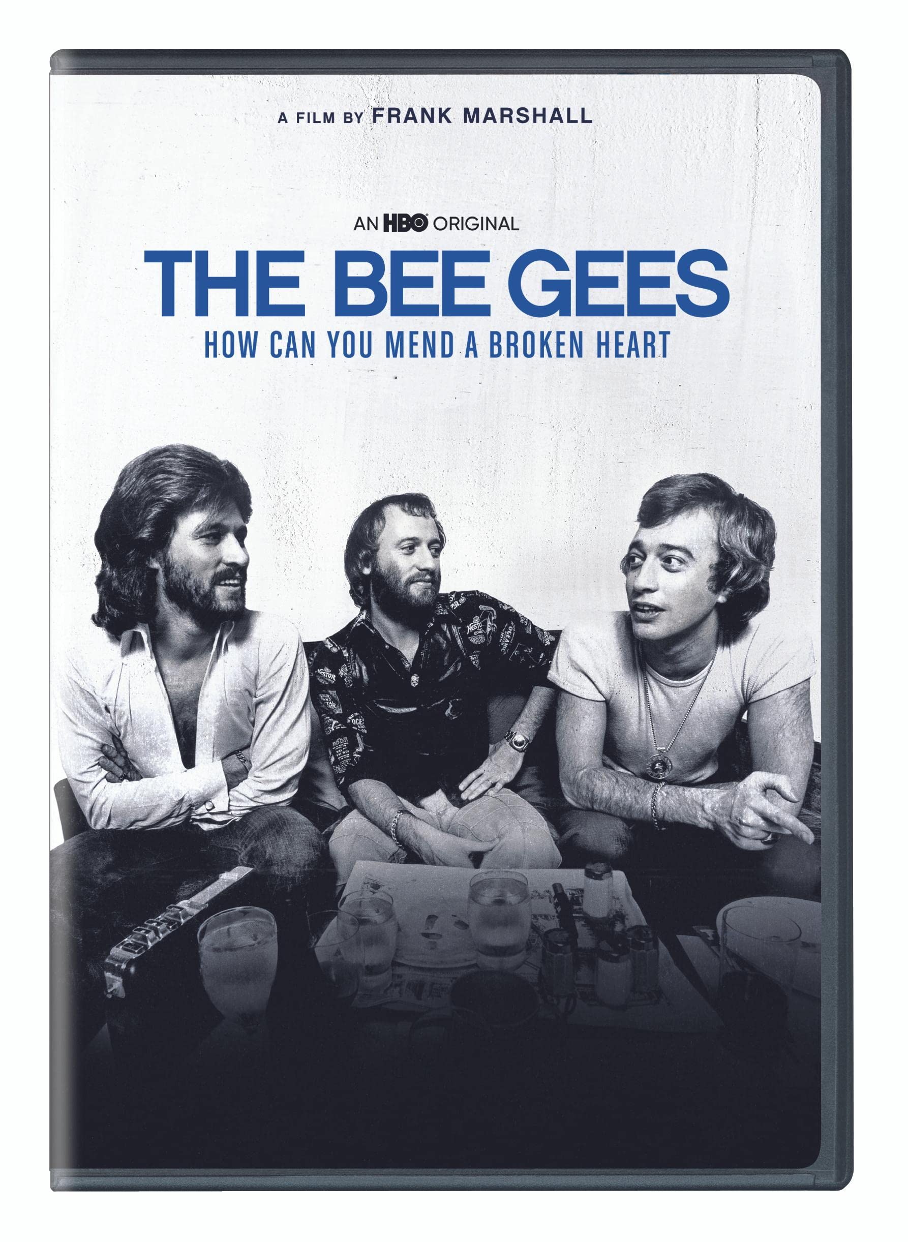 The Bee Gees: How Can You Mend a Broken Heart (DVD)
