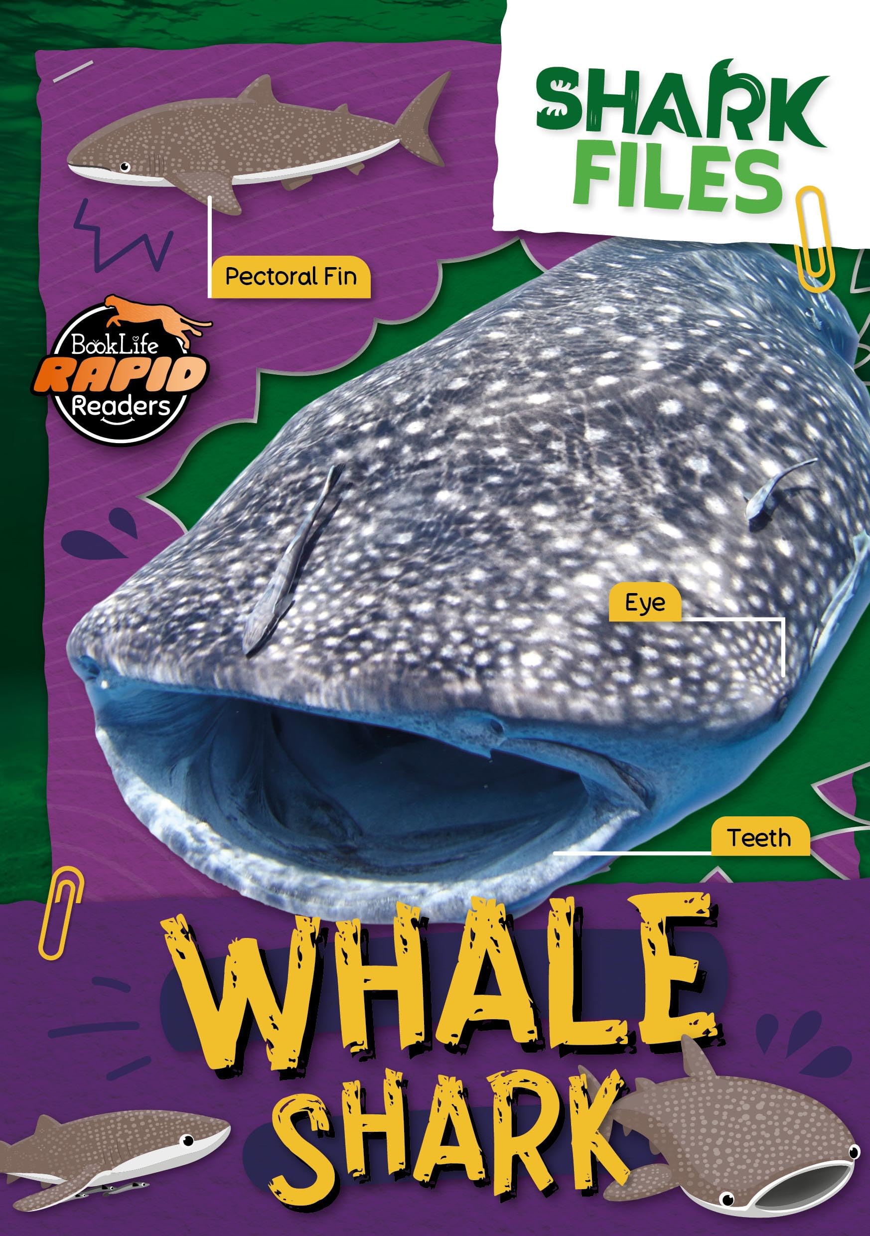 Whale Shark (Shark Files)