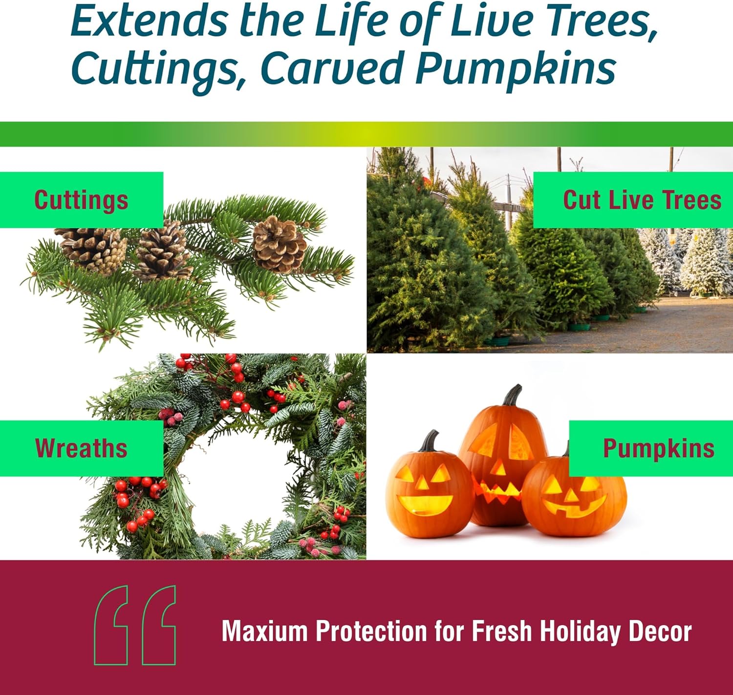 Wilt-Pruf® Christmas Tree/Cutting Preserver Spray |Preserves Christmas Trees, Wreaths, Garlands, Cuttings and Carved Pumpkins | Reduces Needle Drop | Keeps Cut Trees Fresh Longer | Natural (32 oz)