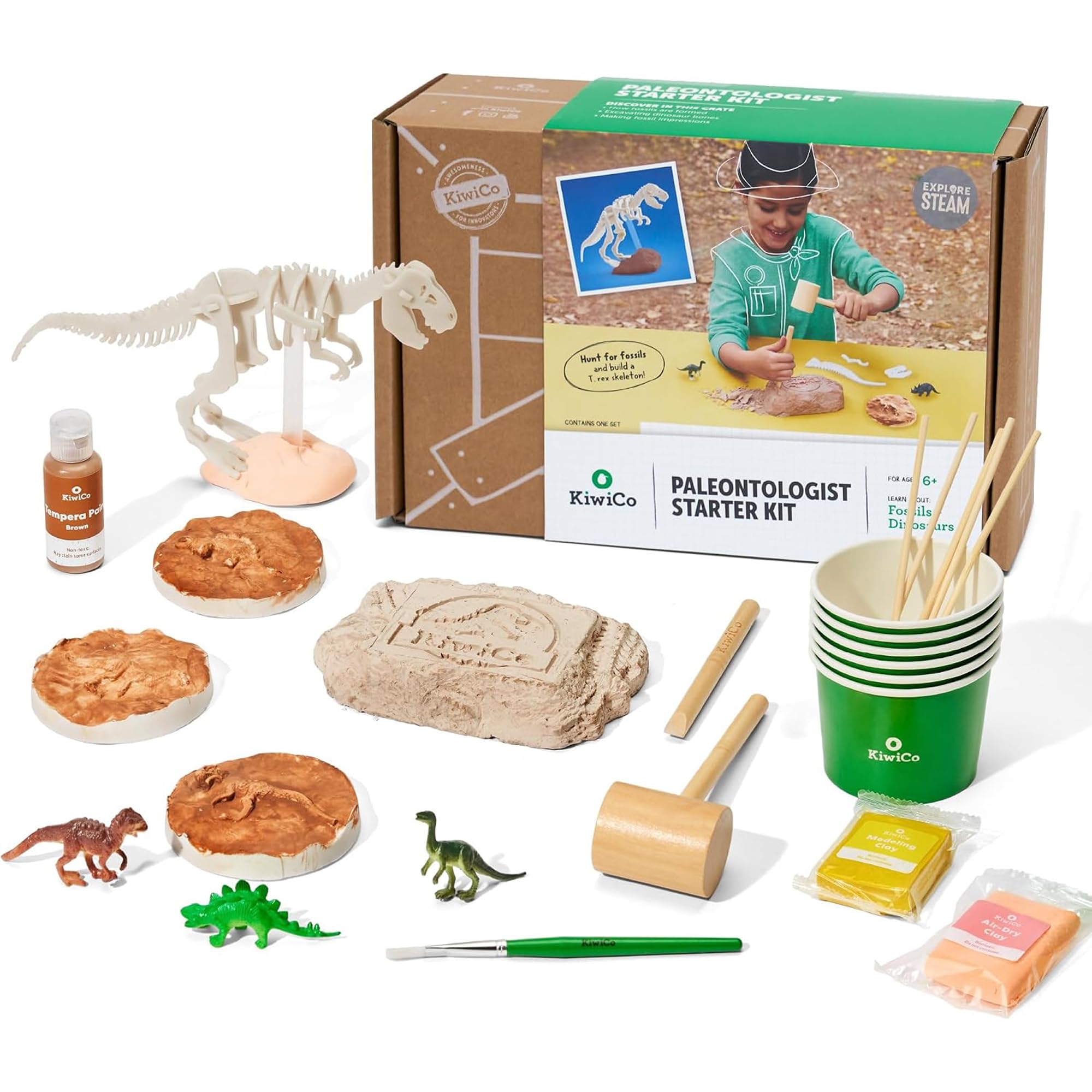 Amazon.com: KiwiCo Dinosaur Fossil Dig Kit - Paleontology Science