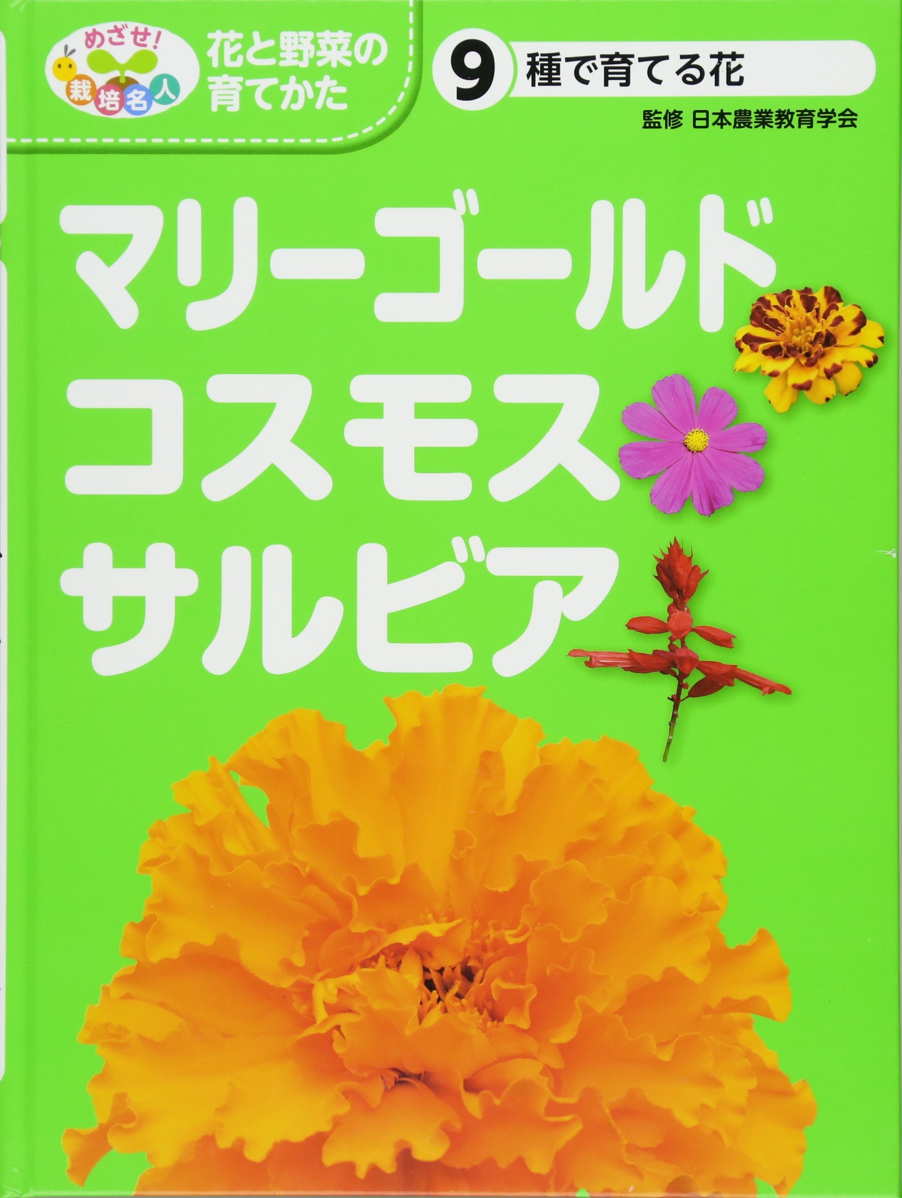 種で育てる花 マリーゴールド コスモス サルビア めざせ 栽培名人 花と野菜の育てかた 日本農業教育学会 日農教 本 通販 Amazon