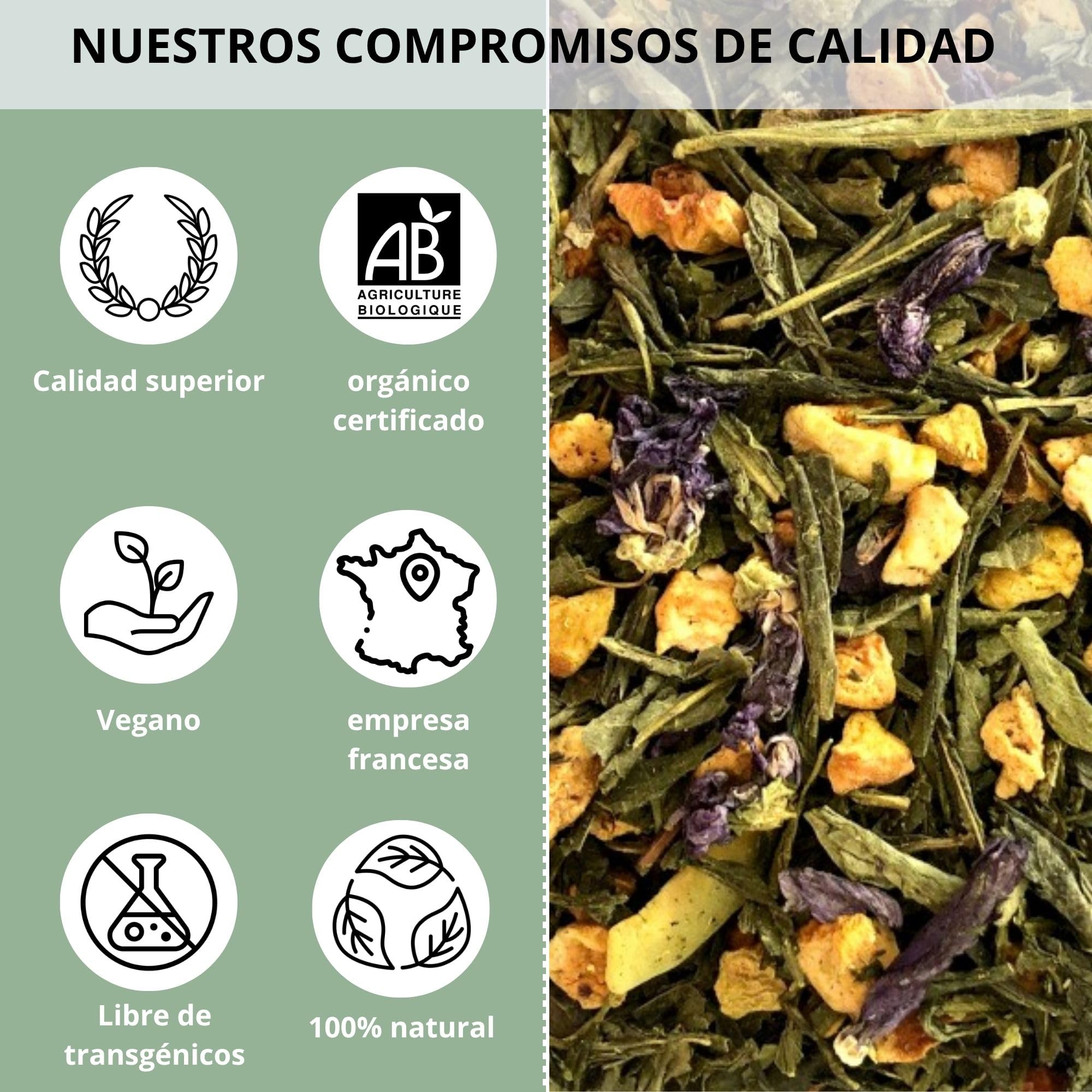 Oasis Refrescante Orgánico – Mezcla de Té Verde Frutal en Hoja Suelta – 100% Natural, Sin Transgénicos – Agricultura Ecológica – Envasado en Francia – Bolsa de 1 kg (500 tazas)