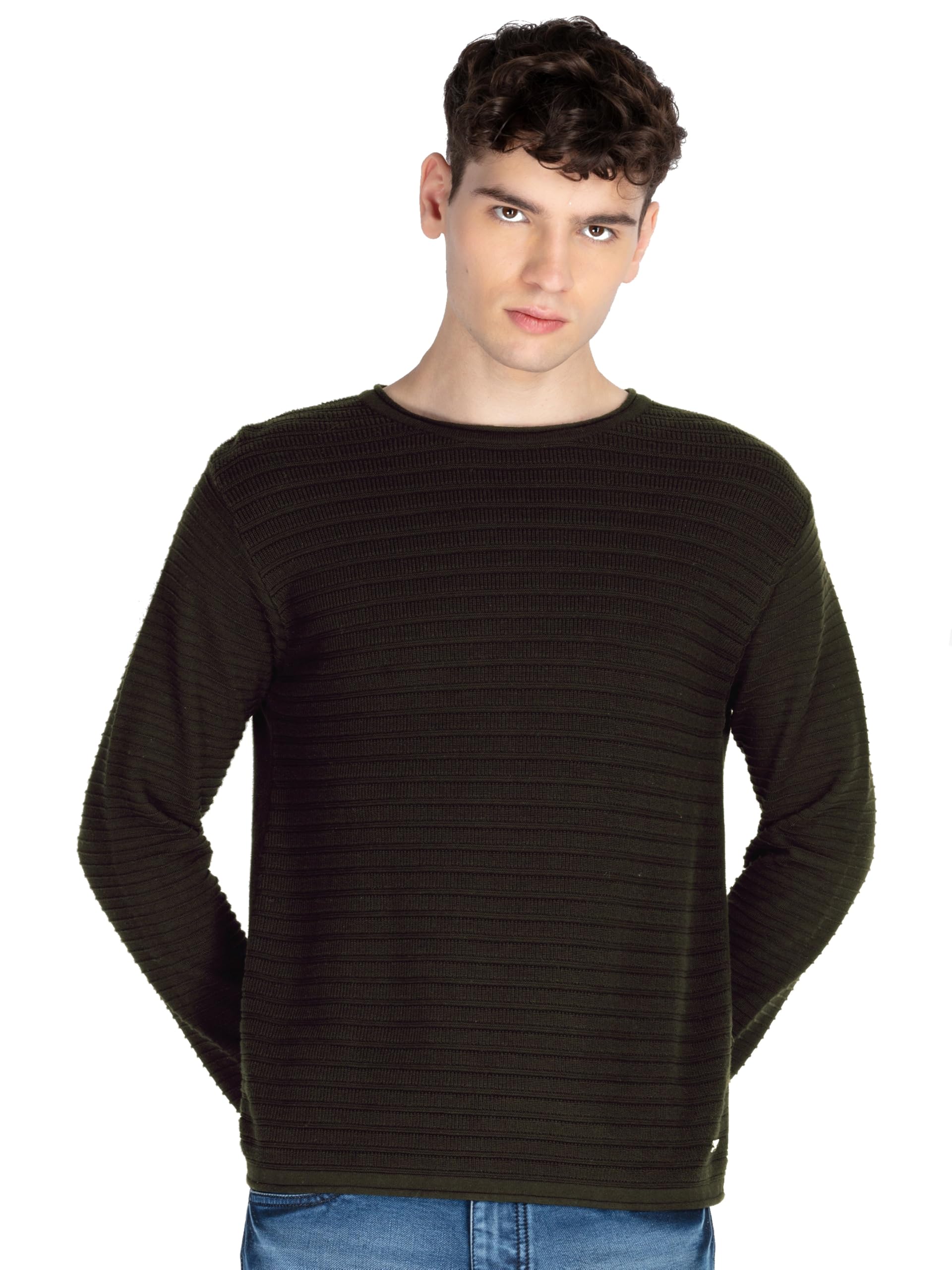 status quo Men's Round Neck Regular Fit Sweater-picture-22