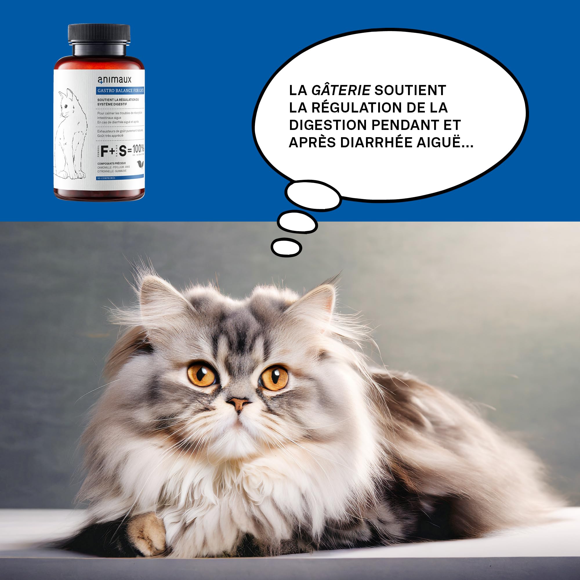 Probiotiques pour Chats à Donner régulièrement - 90 comprimés à mâcher - favorise la Digestion Naturelle - complément Alimentaire avec fenouil, Sauge & psyllium - animaux Gastro Balance for Cats