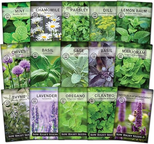 Sow Right Seeds - Colección de semillas de jardín de 15 hierbas - 15 hierbas esenciales para cocinar semillas de reliquia sin OMG. Instrucciones