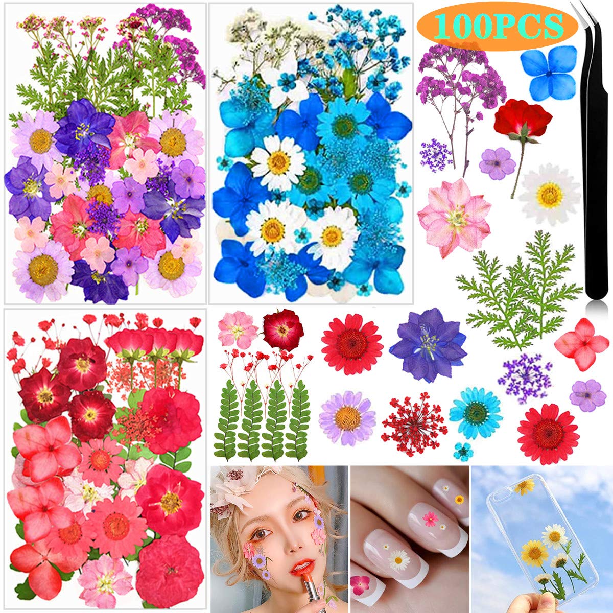 Buy Dried Flowers for Resin 100 PCS Real Dry Flowers for Resin Real