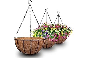 Hanging Basket Set for Plants: Embellish Your Outdoor Spaces with Vibrant Greenery