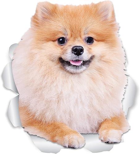 Winston & Bear Calcomanías de pared de perro de Pomerania hinchada, paquete de 2, calcomanías 3D de Spitz alemán para paredes, automóviles, inodoro