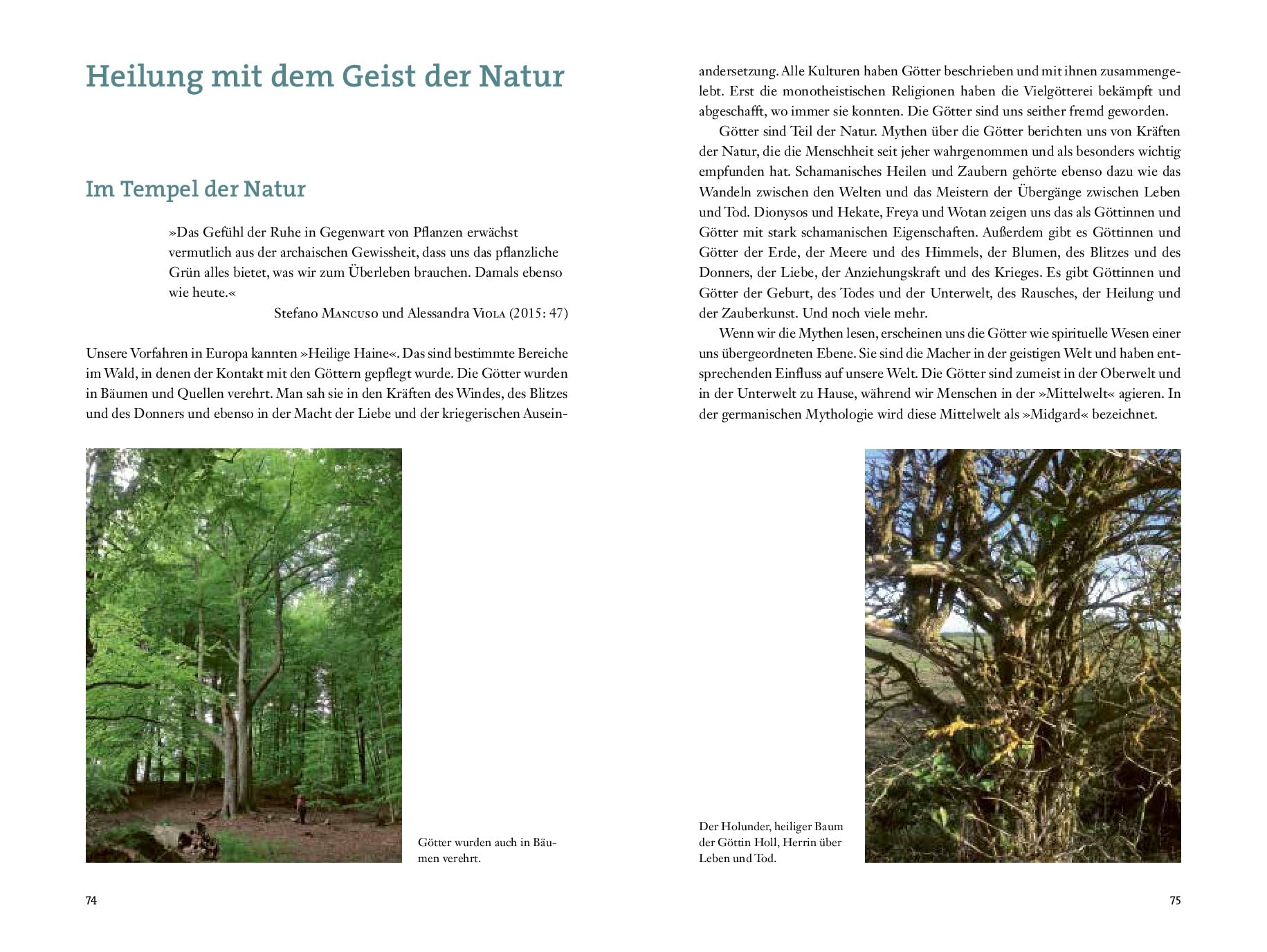 Die Zauberkraft der Pflanzenwelt: Spirituelle Naturerfahrung – Ganzheitliches Heilen mit Pflanzen