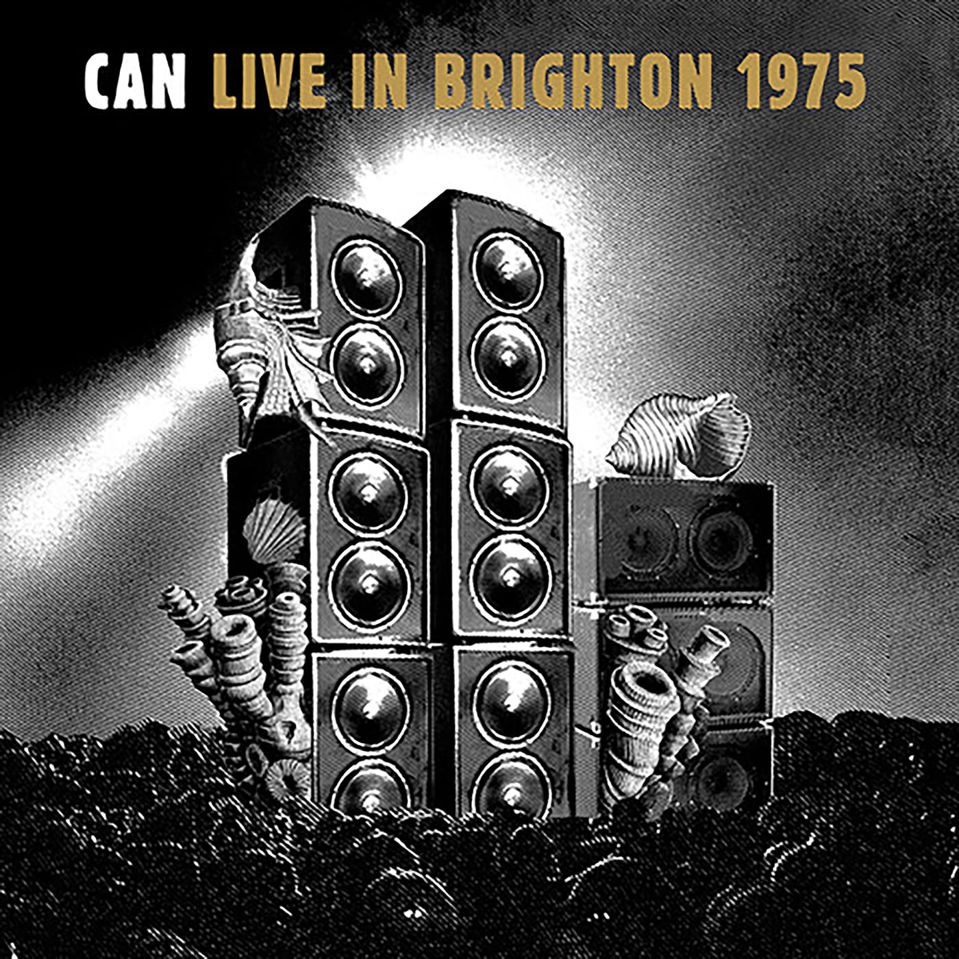 LIVE IN BRIGHTON 1975