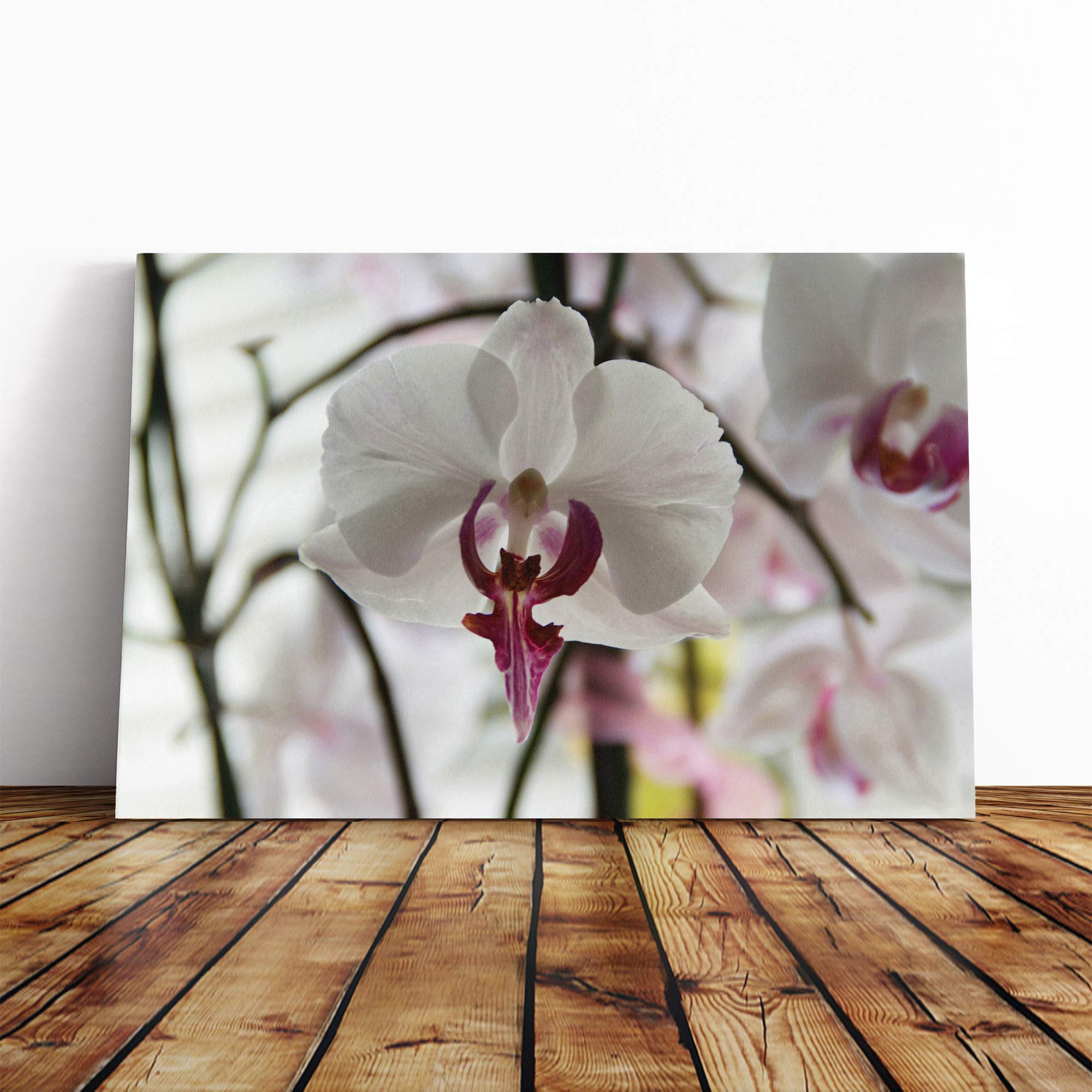 White Orchid Flower (3) Canvas Print | Gallery Wrapped 30mm Frame Wall Art | 30x20 inches | Ready to Hang | Modern Floral Picture | Living Room Bedroom Lounge Office
