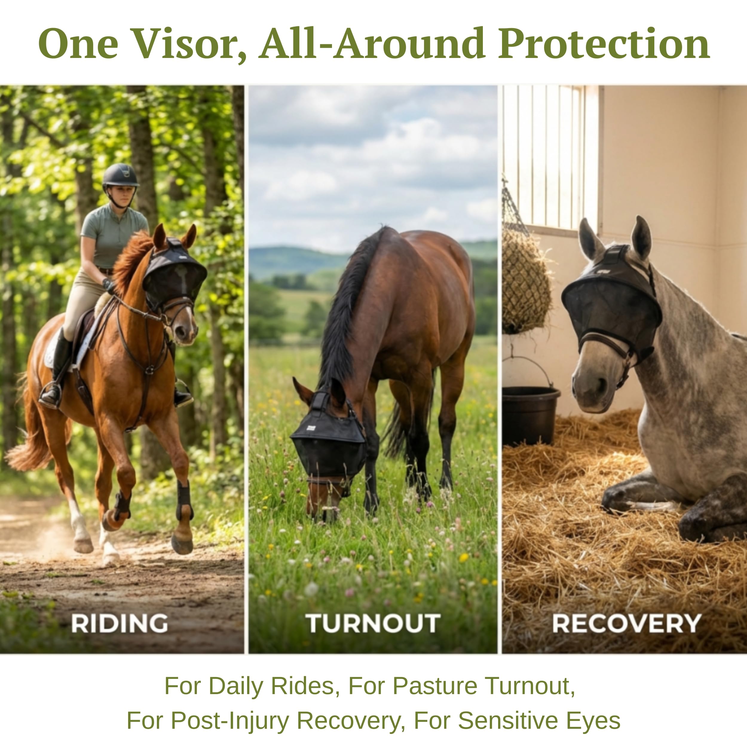 Visera de equitación y recuperación: ajuste ajustable, visera UV integrada reforzada, 100% protección UV para los ojos, transpirable, correas para cabestro o brida