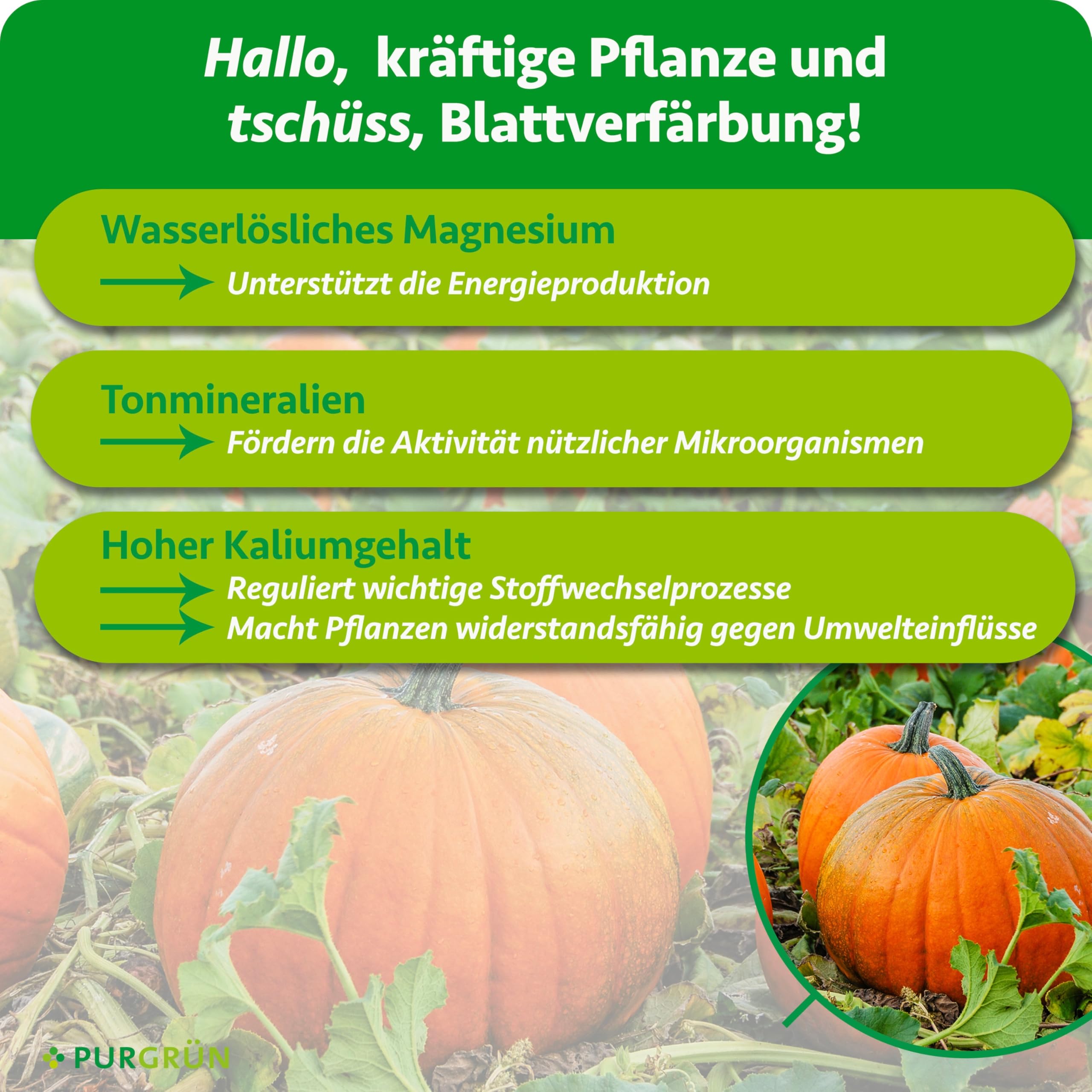 Bio-Kürbis-Dünger 1 kg – Organisch-mineralische Rezeptur – Feinkörniges Krümelgranulat – NPK 6+3+8 – Mit Magnesium für gesunde Pflanzen & prächtige Kürbisse – Verbessert die Bodenqualität