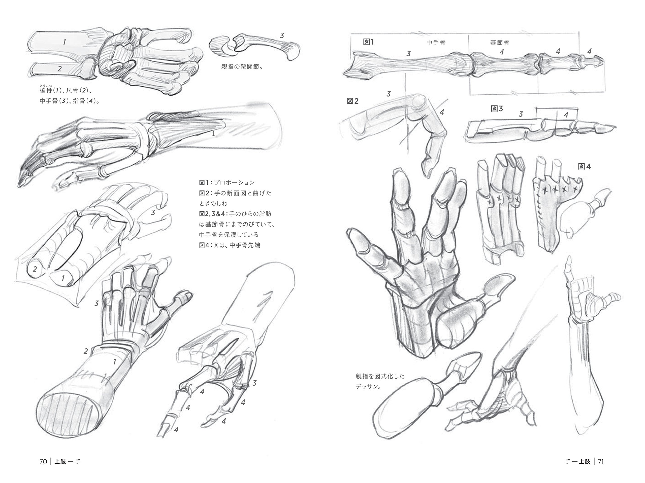 骨から描く モルフォ人体デッサン ミニシリーズ ミシェル ローリセラ 布施 英利 ダコスタ 吉村花子 本 通販 Amazon 骨から描く モルフォ人体デッサン ミニシリーズ ミシェル ローリセラ 布施 英利 ダコスタ 吉村花子 本 通販 Amazon