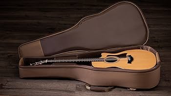 Amazon.com: Taylor 414ce Studio Special Edition Acoustic