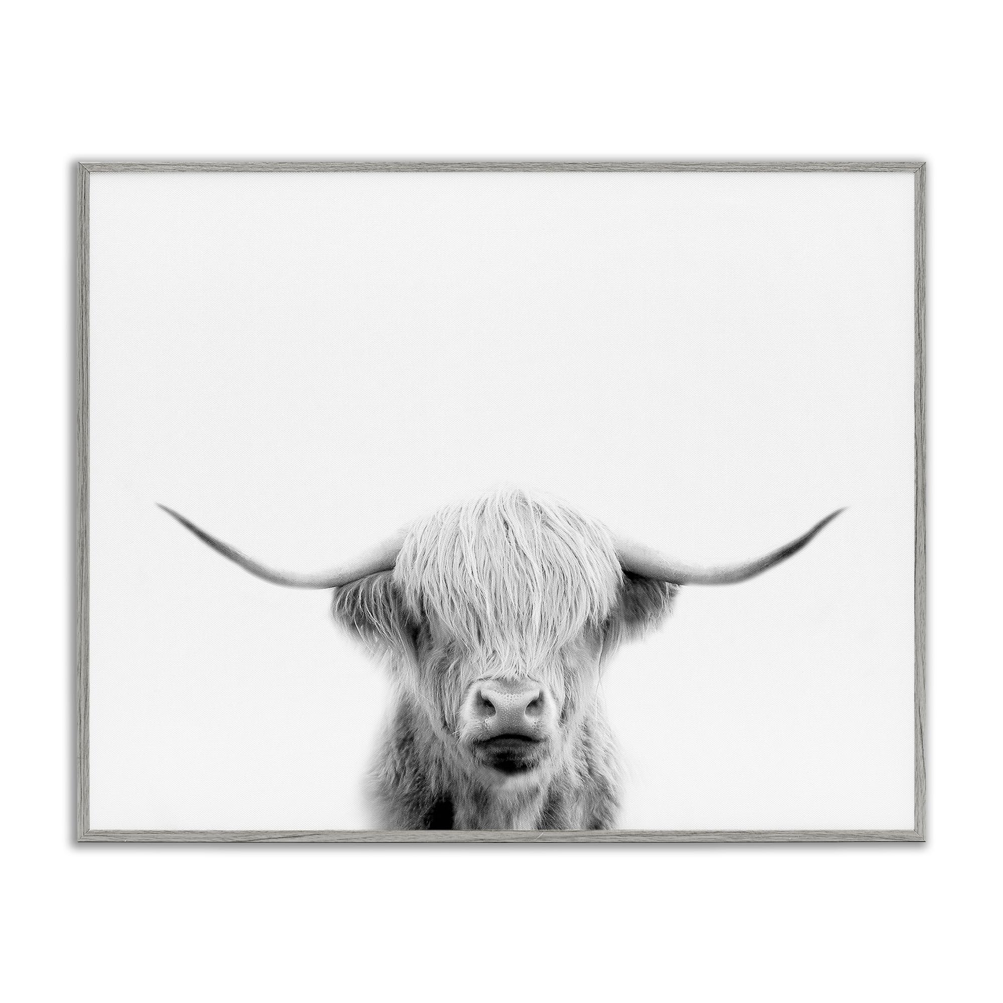 Stupell Industries 'Scottish Cow Portrait', Framed Giclee Art, Gray, 14 x 11 Inches, Easy to Hang and Sturdy, Made in USA, by Leah Straatsma