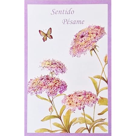 Amazon Com Hallmark Vida Spanish Religious Sympathy Greeting Card Cross On Bible Office Products