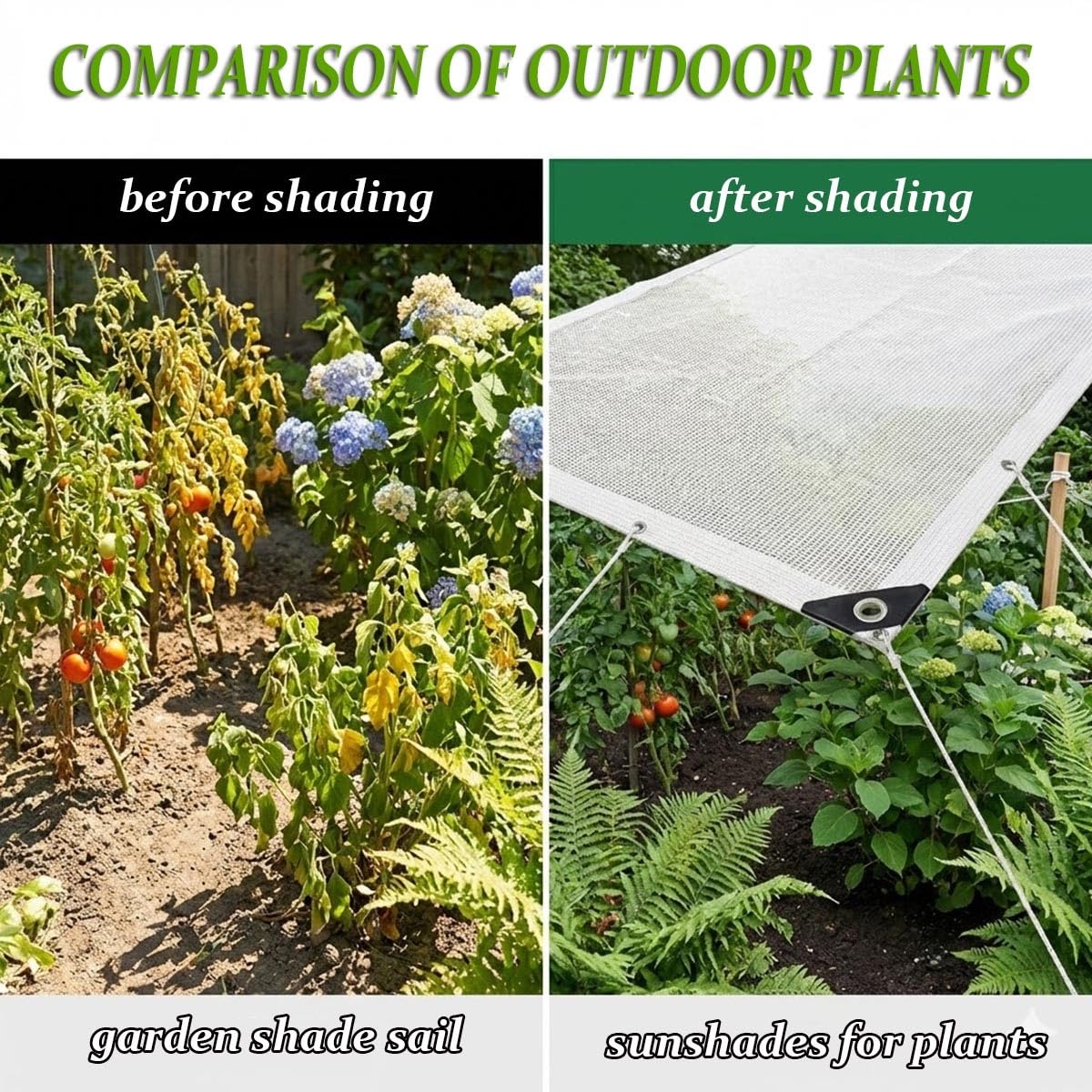 Filet solaire respirant 50 % blanc avec œillets pour serre et jardin (8 x 8 m) Idéal pour les plantes et la terrasse Protège des UV et léger