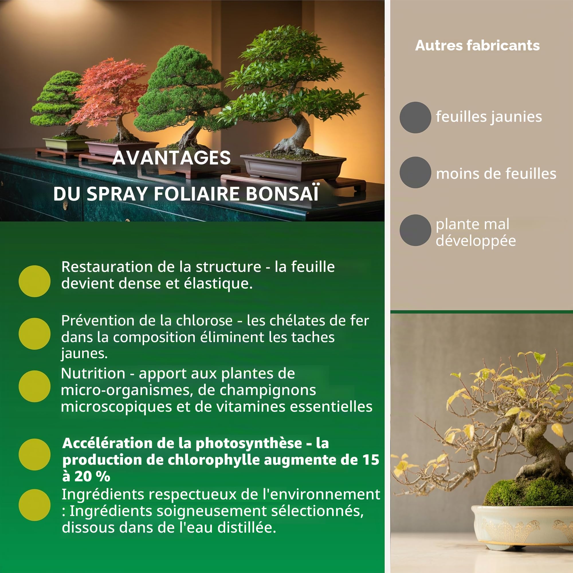 Garten Lux Spray bio Vital pour feuilles de bonsaï 300 ml 16 oligo-éléments