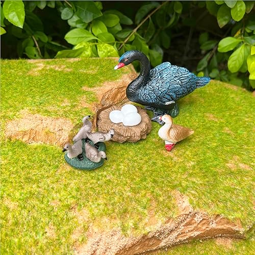 Miniatura 5 de Juguetes de ciclo de vida, juguetes de cisne negro, juego de ciclo de vida de animales ideal para, juguetes de aprendizaje, educación temprana,