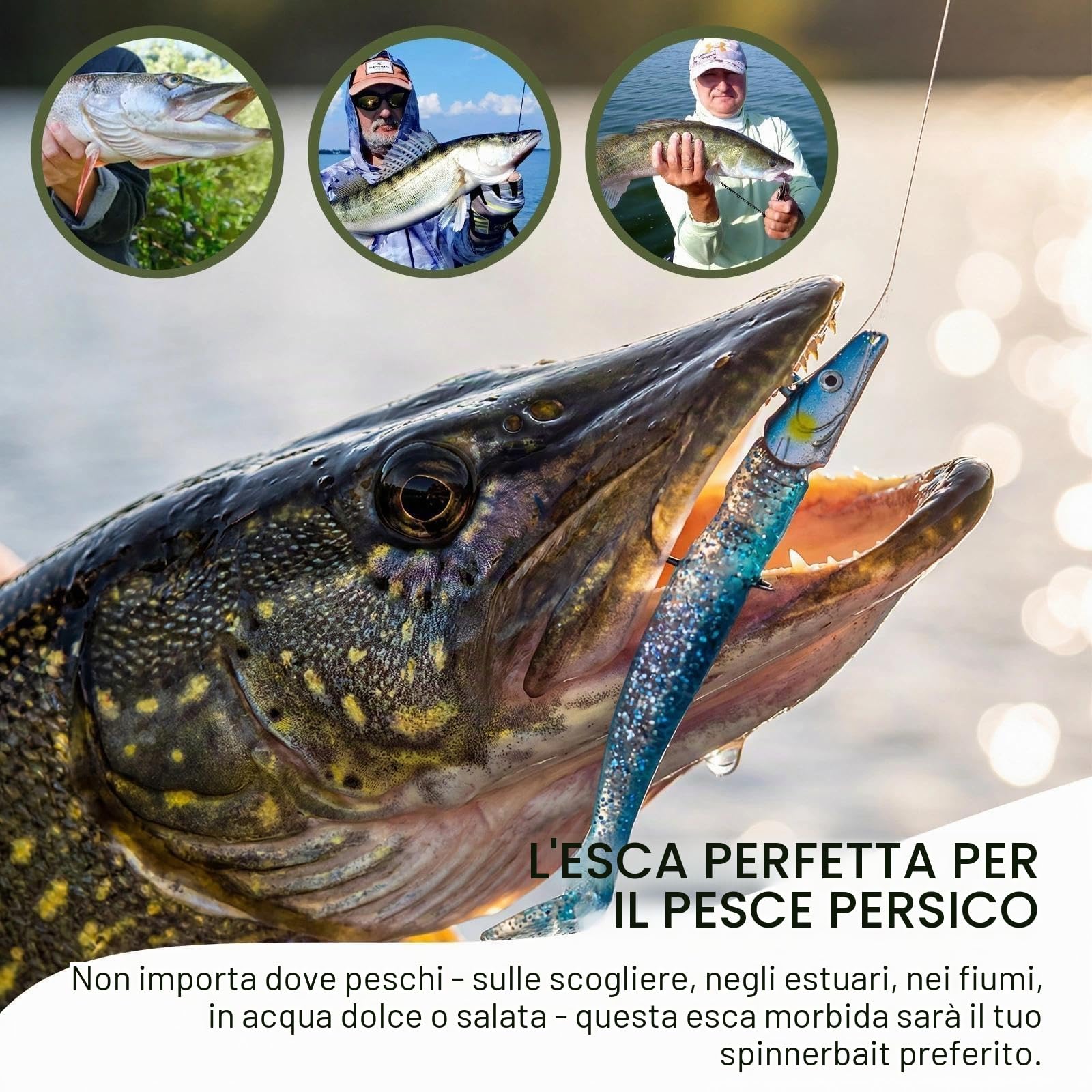 6 Pezzi Esche da Pesca Morbida Gomma Esche da Nuoto 12 cm Mare Esche Artificiali Swimbait Artificiale con T-coda Esca Pesca per Spigole Bass Lucci Trote Pesci Carnivori (22 g)