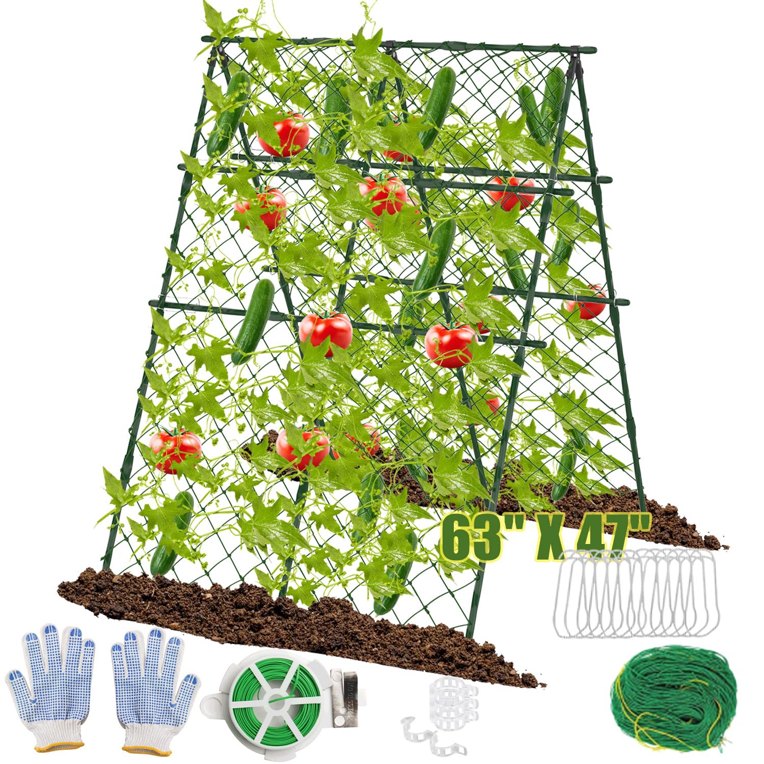 treillis plante grimpante extérieur