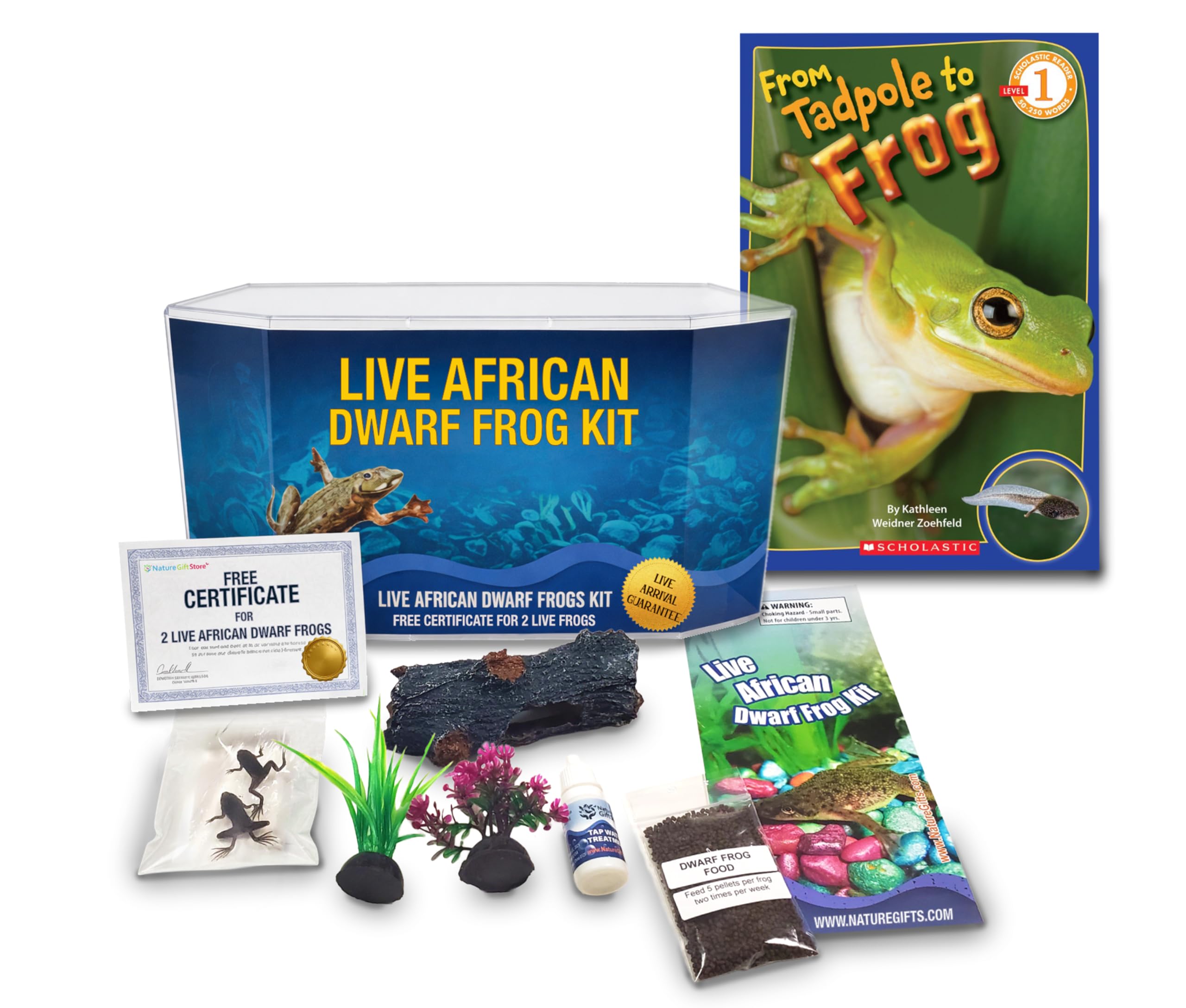 African Dwarf Frog Starter Kit- Includes Certificate for 2 Live Frogs- All-in-One Bundle with Book, Small Aquarium, Food, Instructions Now