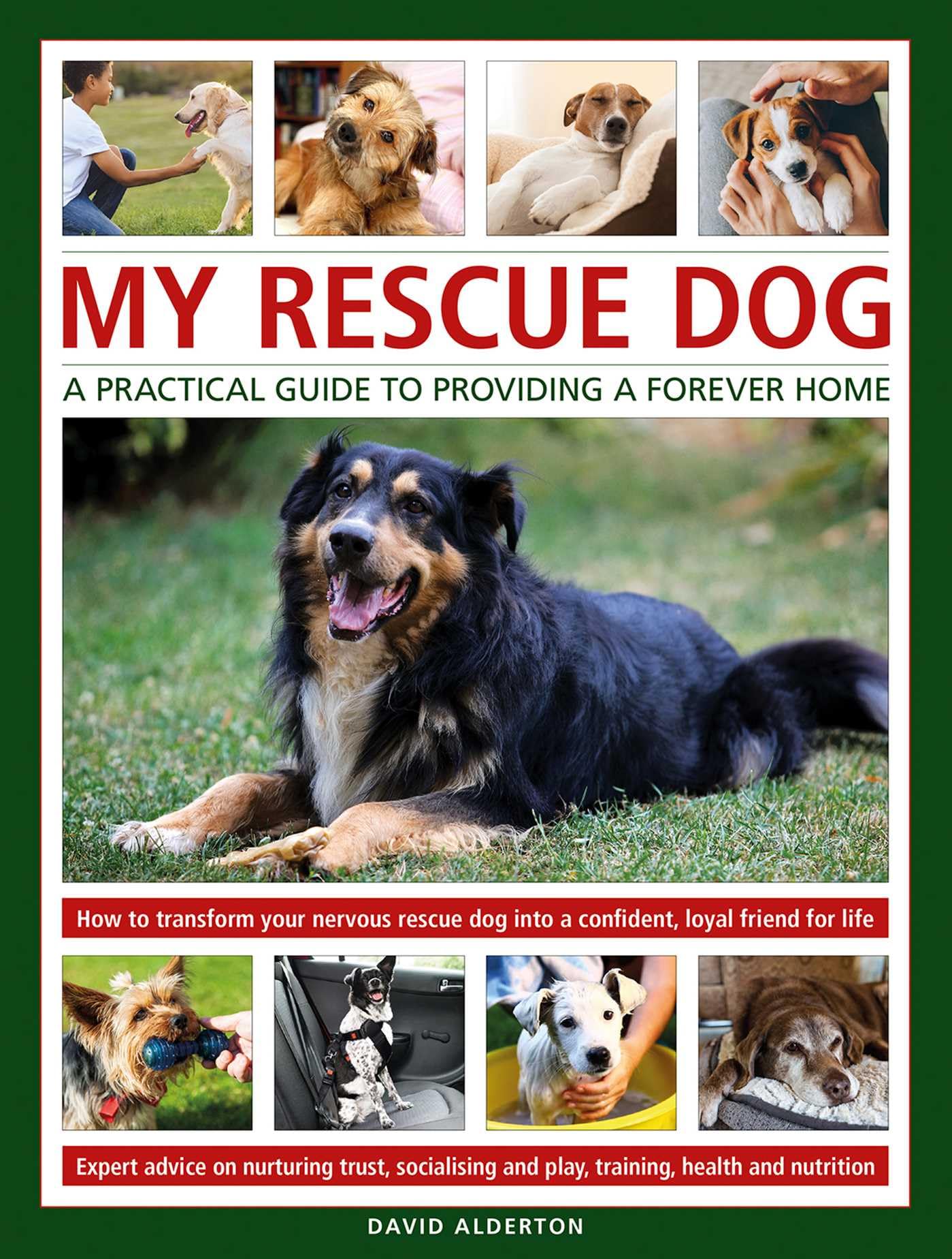 My Rescue Dog: A practical guide to providing a forever home : How to understand and transform your nervous rescue dog into a happy, confident, loyal friend for life; Expert advice on nurturing trust,