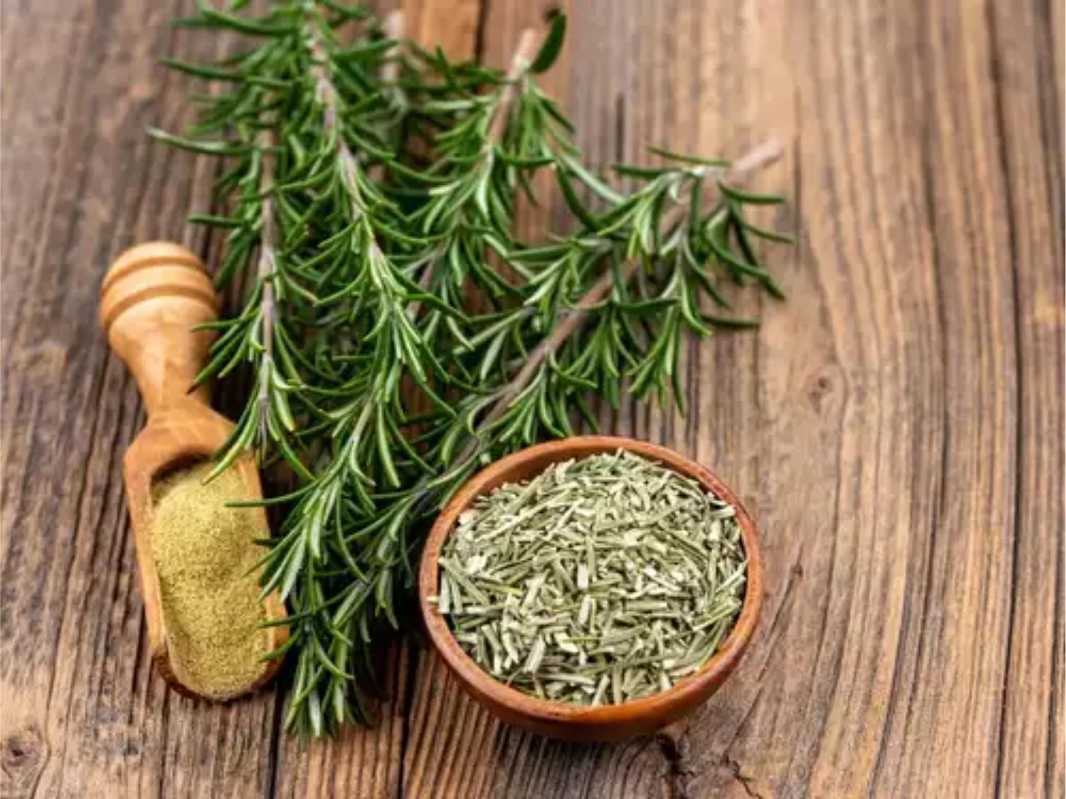 Shine Organic Rosemary Dried Leaf/Leaves with Applicator - 100 gm | Dried Rosemary Leaves for Hair, Food & Tea (100% Natural) - (100 gm) 3