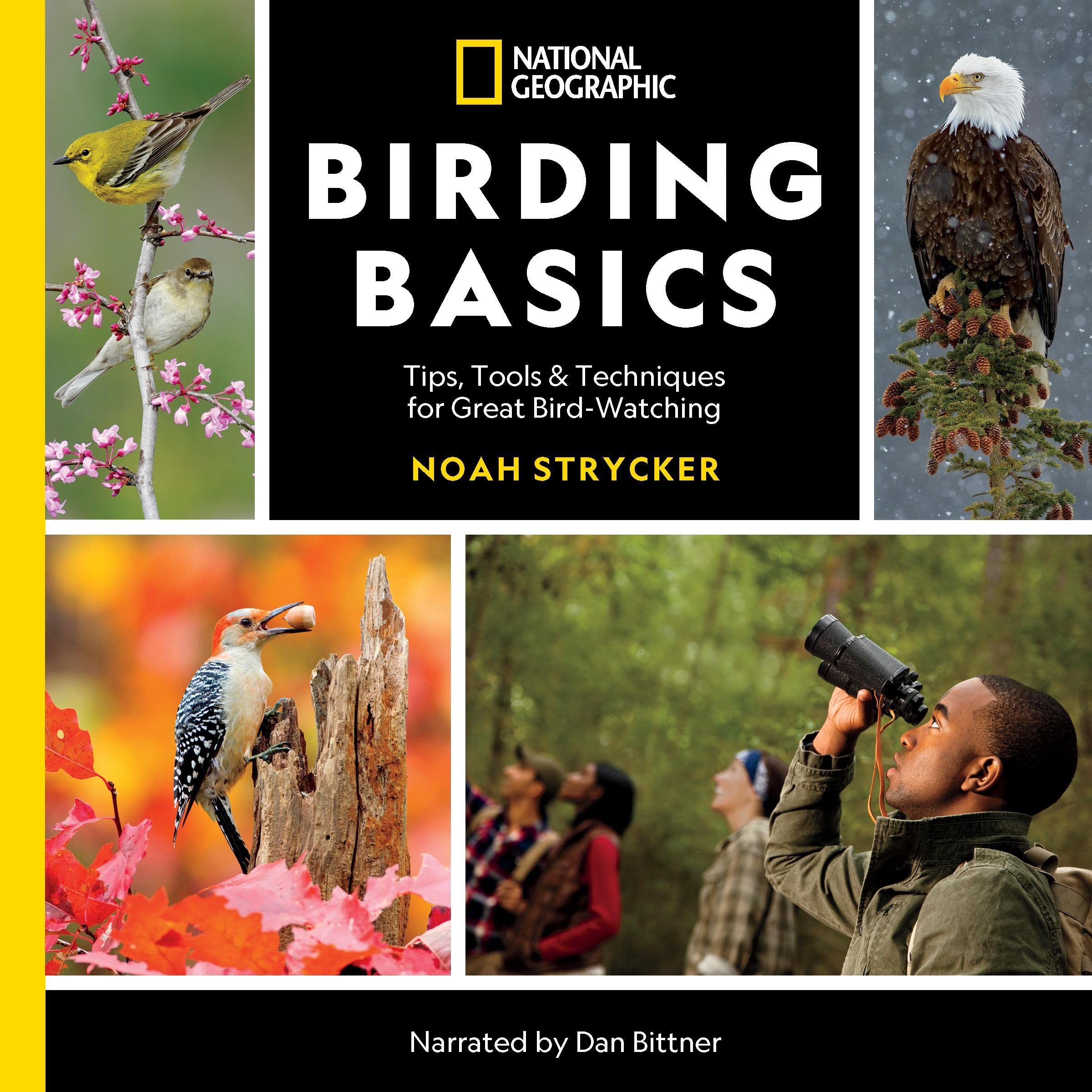 Cover art for National Geographic Birding Basics