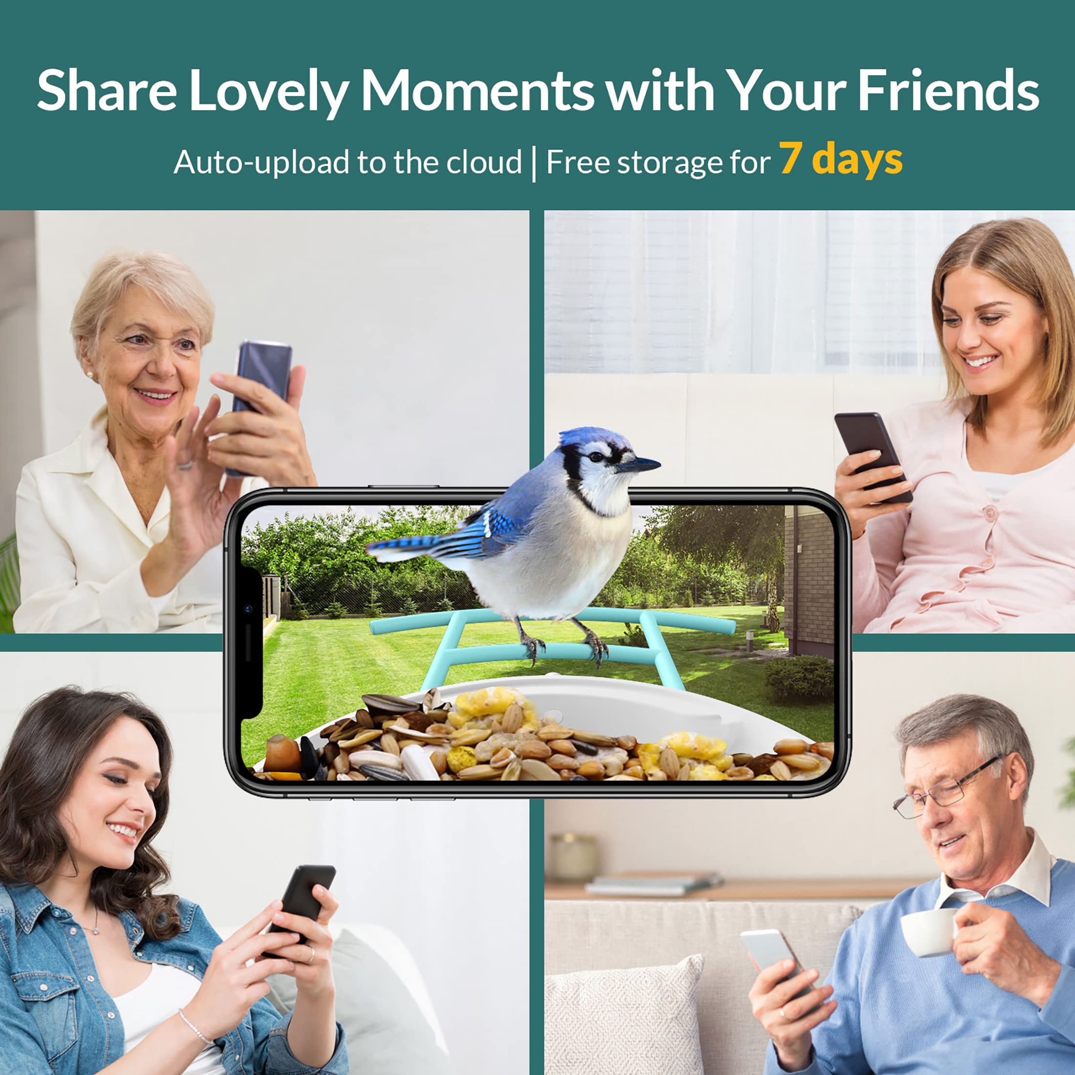 NETVUE Birdfy - Comedero Inteligente para Pájaros con Cámara y Panel Solar, Reconocimiento AI de Especies de Aves, Exterior con Potente Base de Datos de Aves