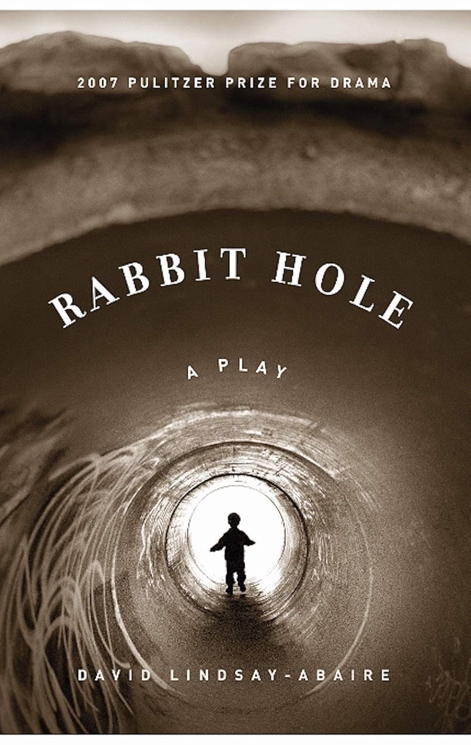 Rabbit Hole Amazon.co.uk David LindsayAbaire 9781559362900 Books