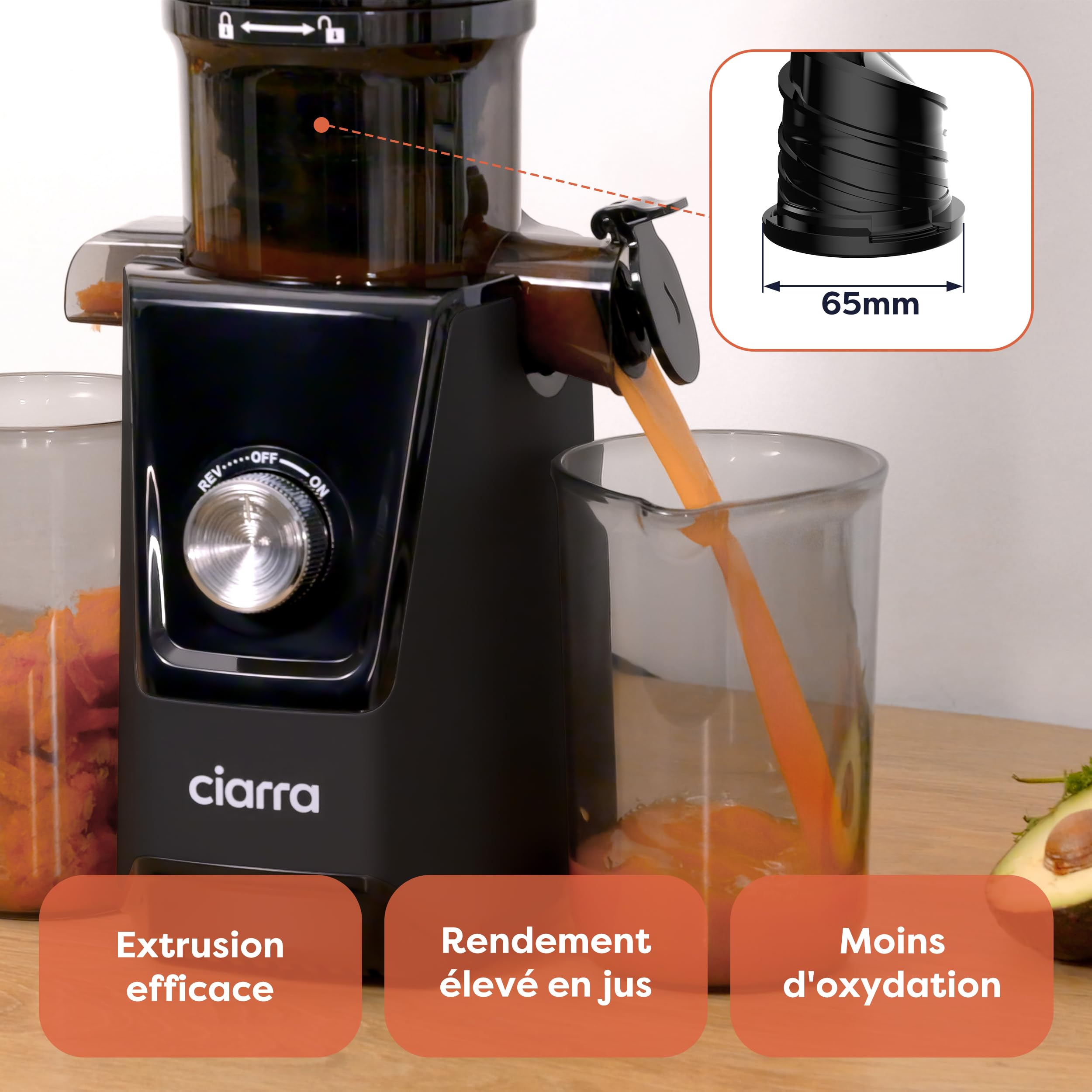 Ciarra AWSJ046-B Extracteur de Jus Fruits Légumes, Slow Juicer 1.2L Sans BPA, 108 mm, Noir