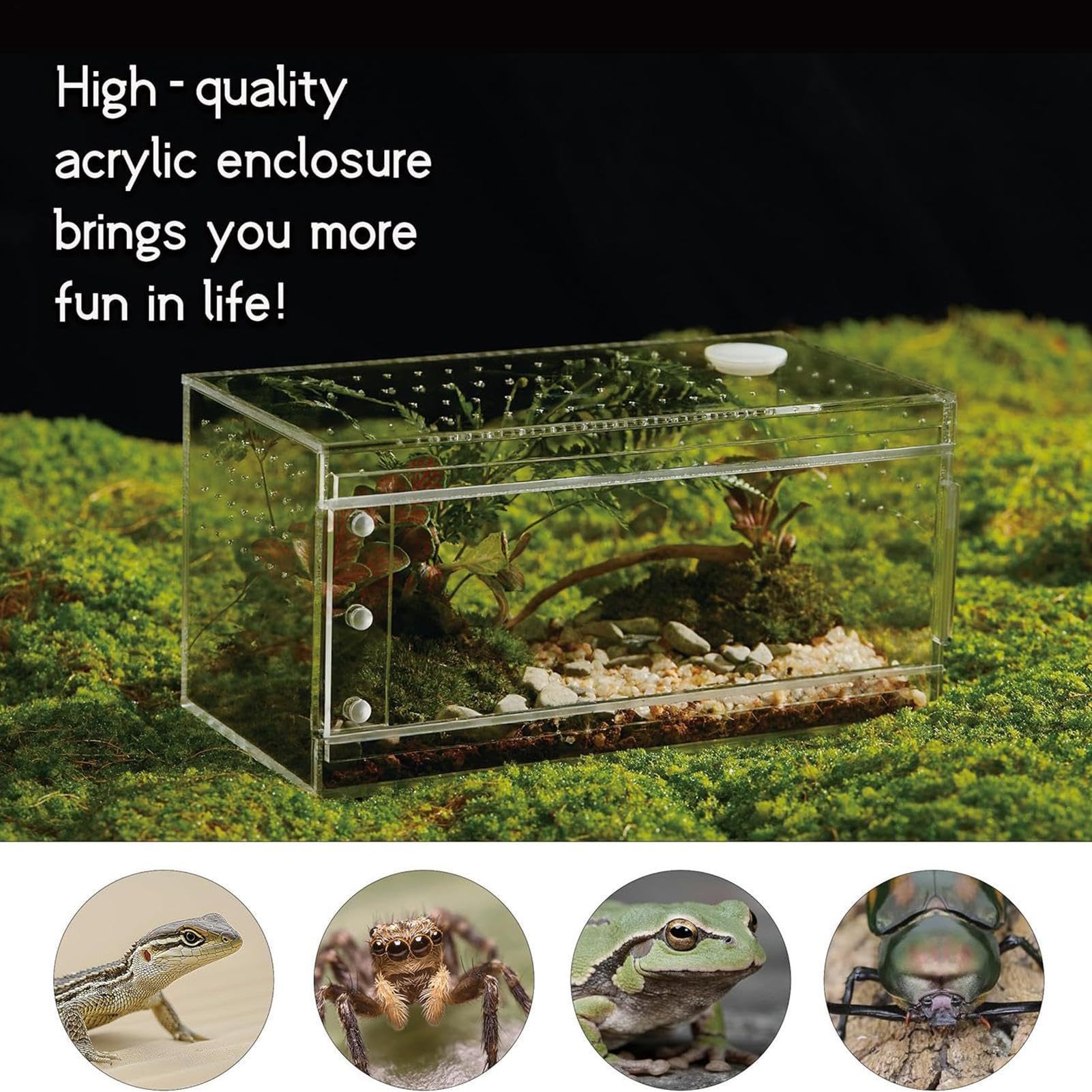 Terrario Para Reptiles A Prueba De Escapes, Transparente Y Transpirable