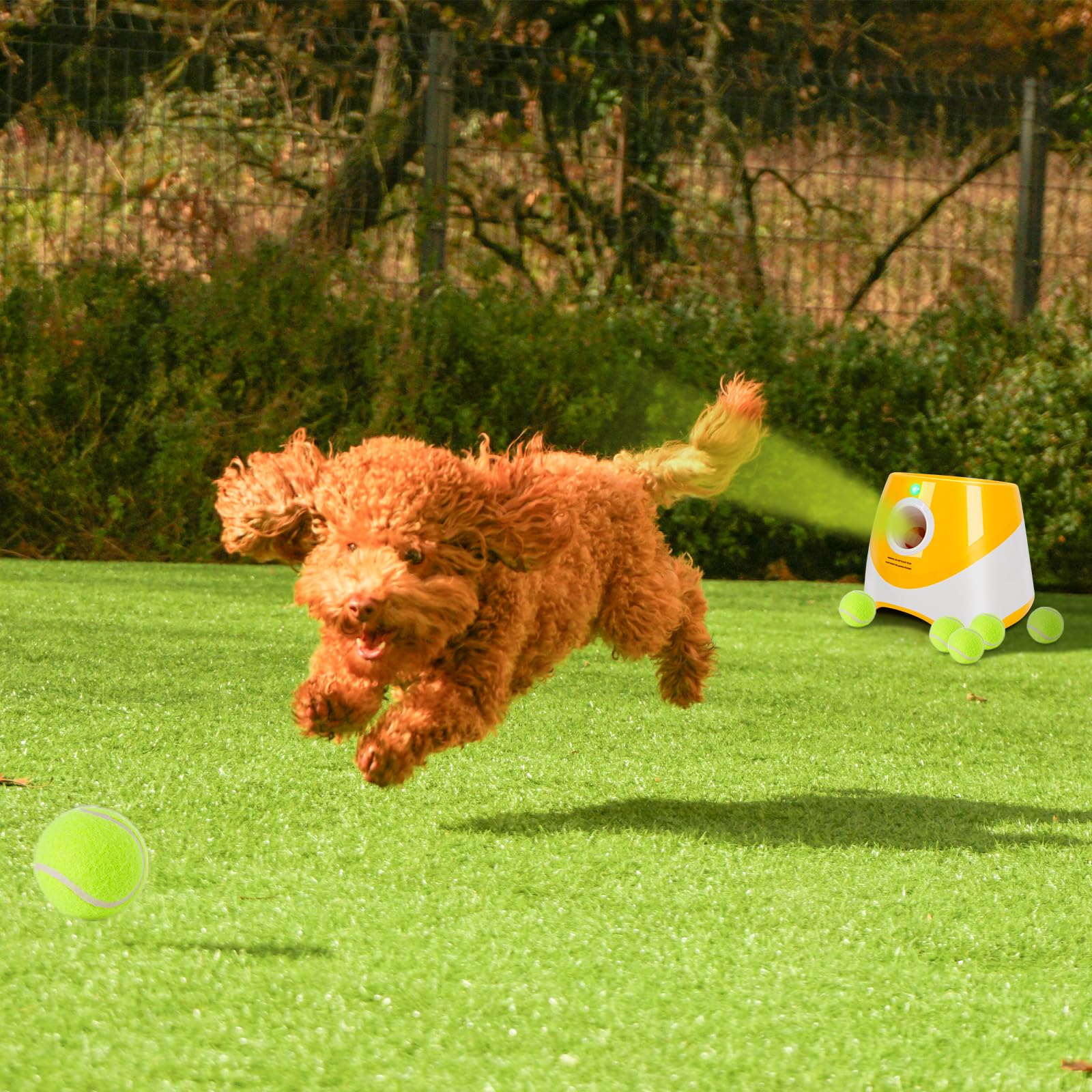 Lancia Palline per Cani, Spara Palline Automatico con 6 Palline, Giocattoli Interattivi per Cani di Piccola Taglia, Macchina Lanciapalle per Cane per Interni ed Esterni, Arancia