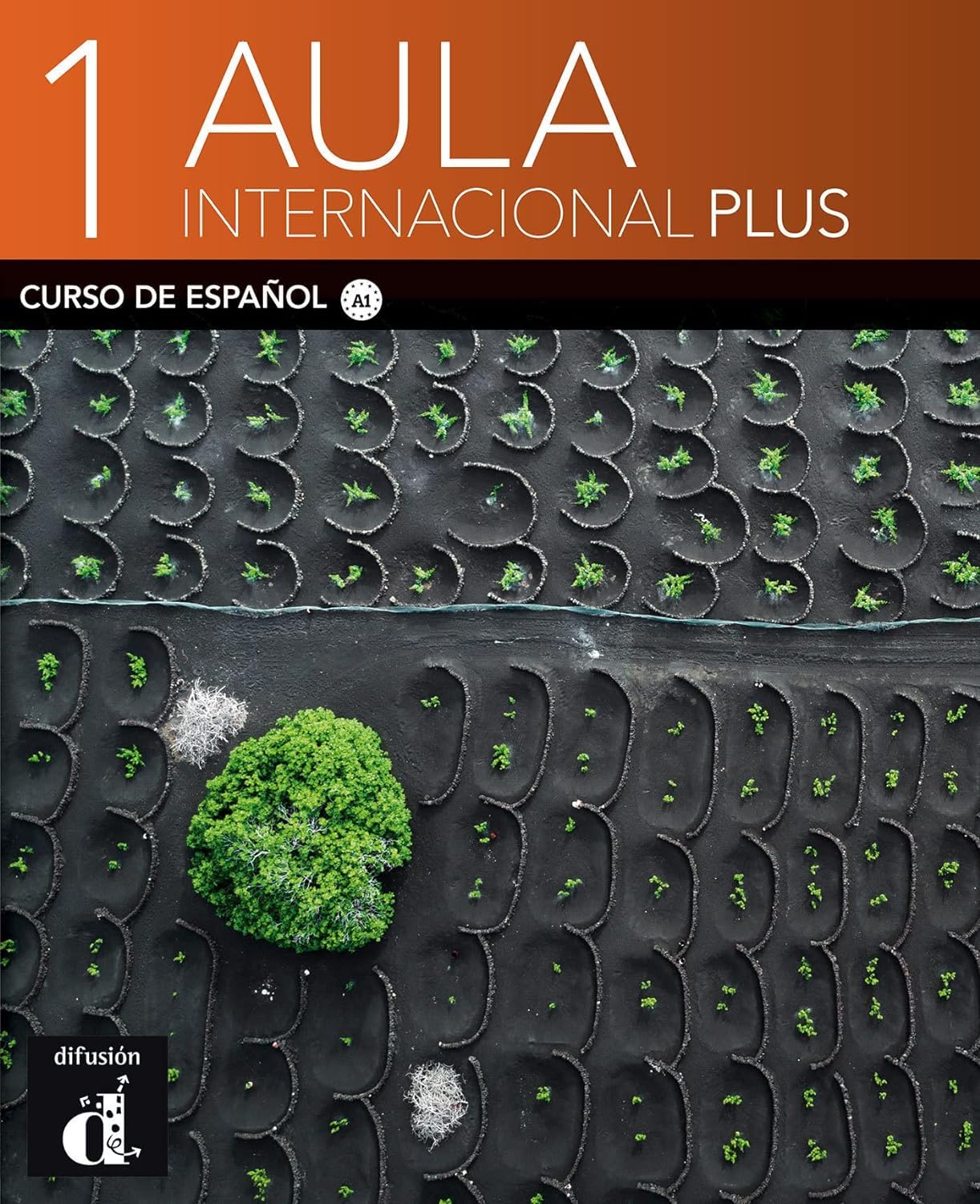 Aula internacional. Per le Scuole superiori. Con e-book. Con espansione online (Vol. 1)