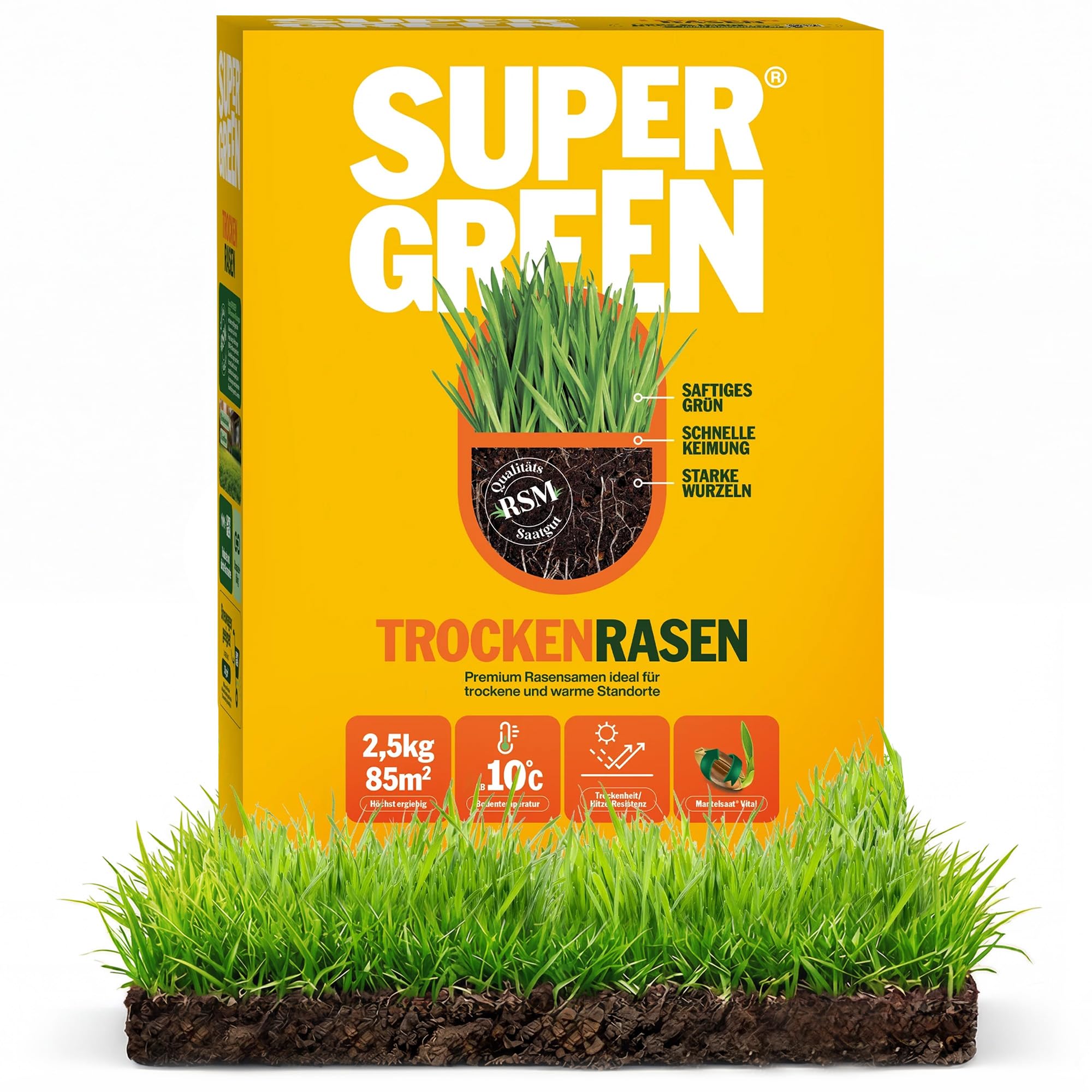 SUPERGREEN Trockenrasen Rasensamen | 2,5kg | Premium Saatgut für sonnige & trockene Flächen | Schnellkeimend, wassersparend & robust | RSM Qualität & Mantelsaat® Vital | Dicht & sattgrün