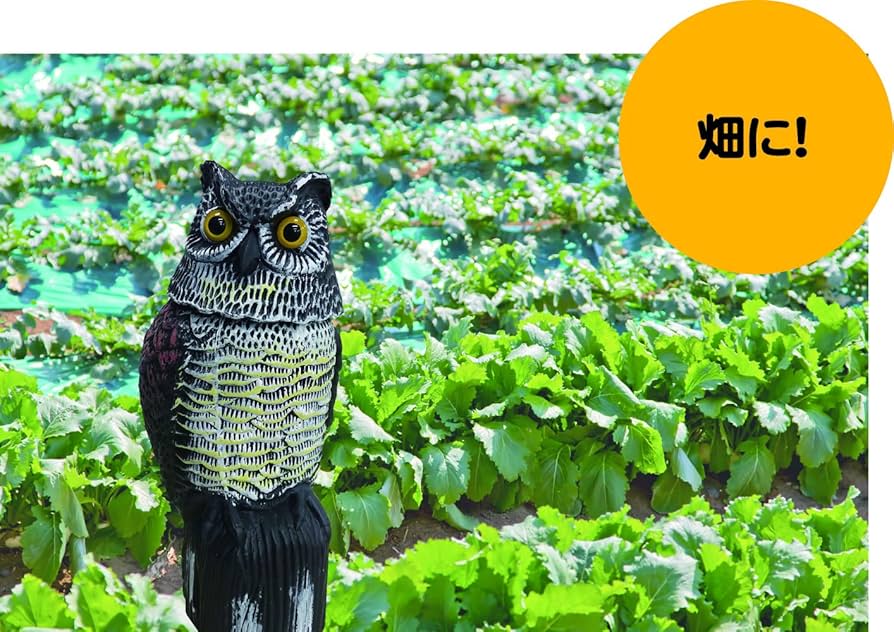 Amazon.co.jp: ミツギロン 鳥よけ ふくろう ブラック 約18×15×40cm