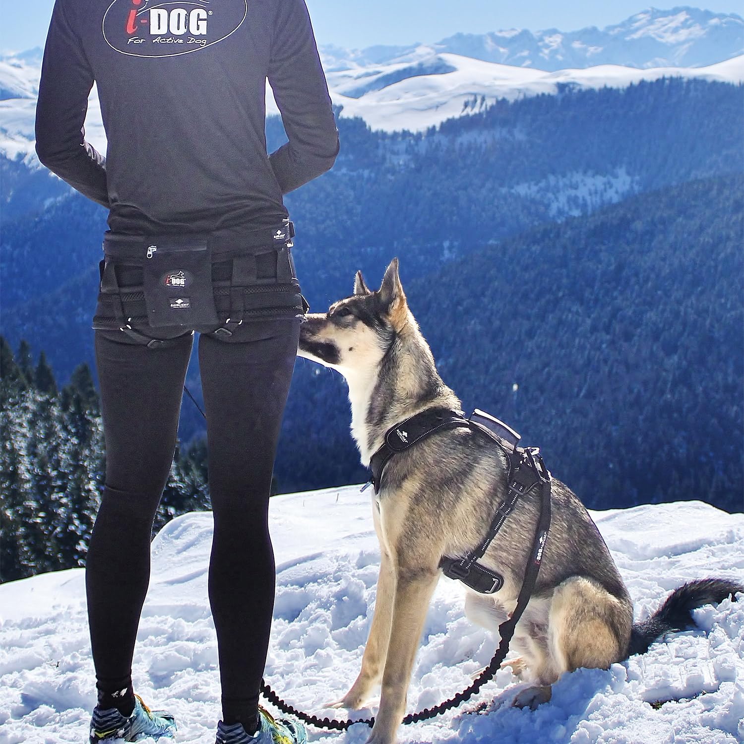 Harnais RAIDLIGHT I-DOG canicross, canirando, canitrail, canijogging, Noir (XS)